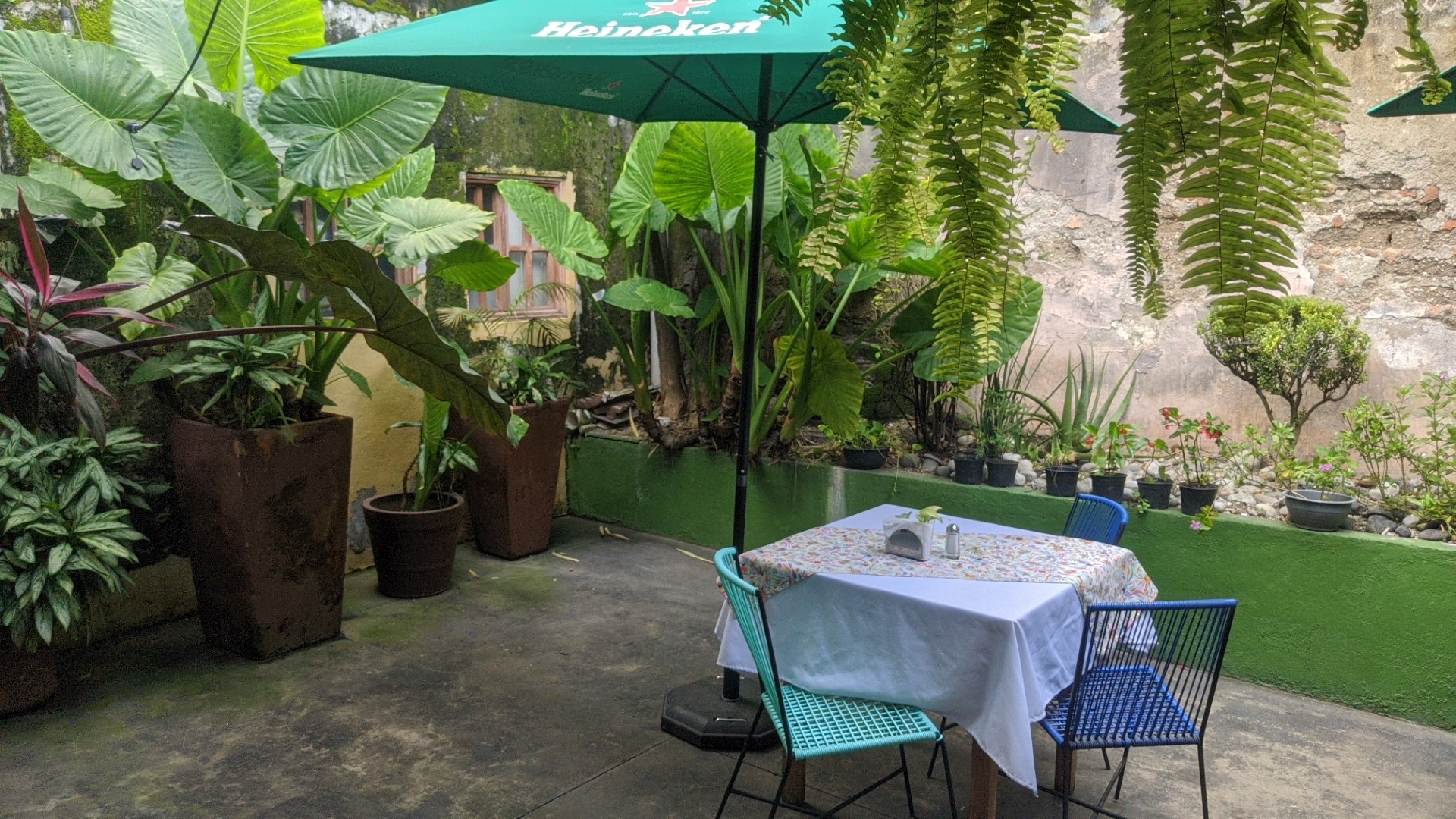 Olives Fusion Restaurant image 8