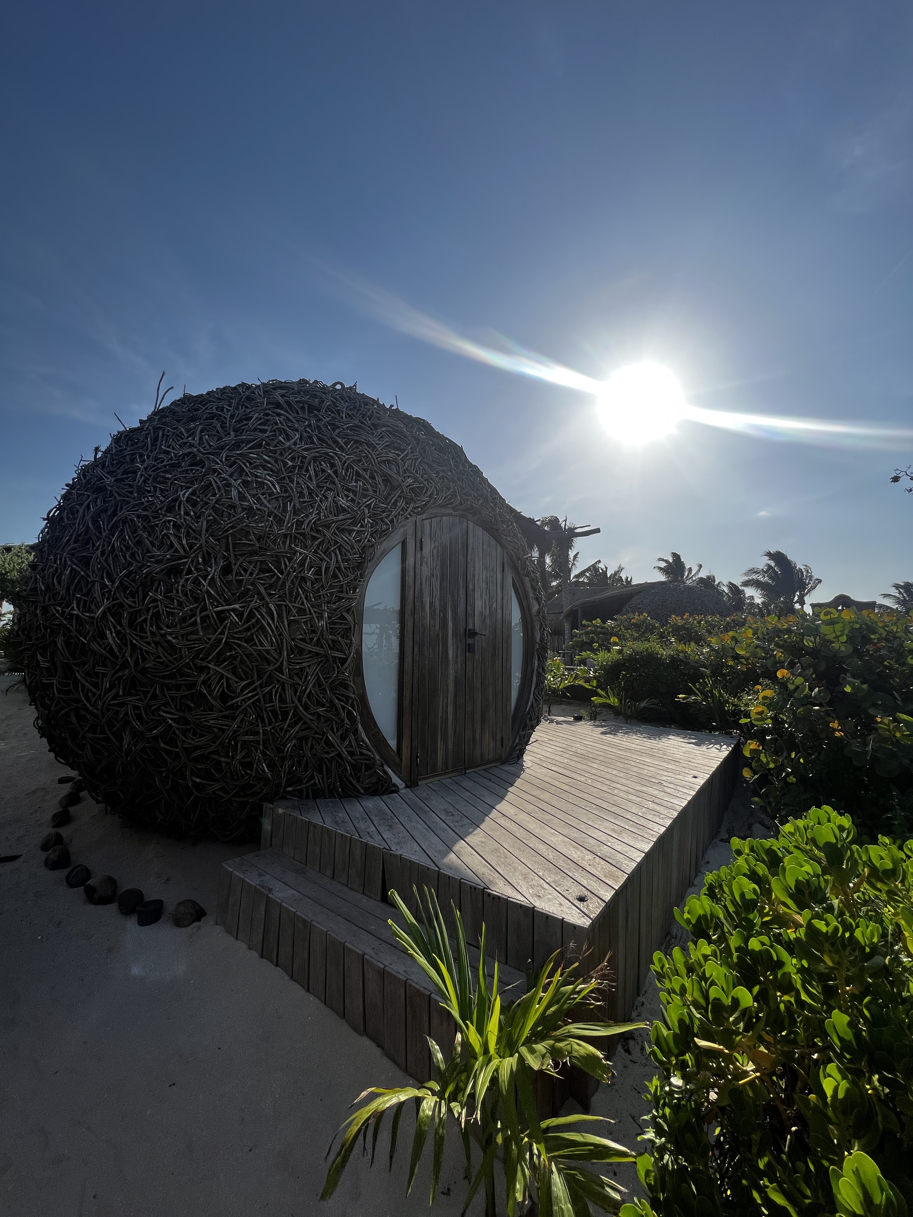 Nido restaurante San Bruno image 7