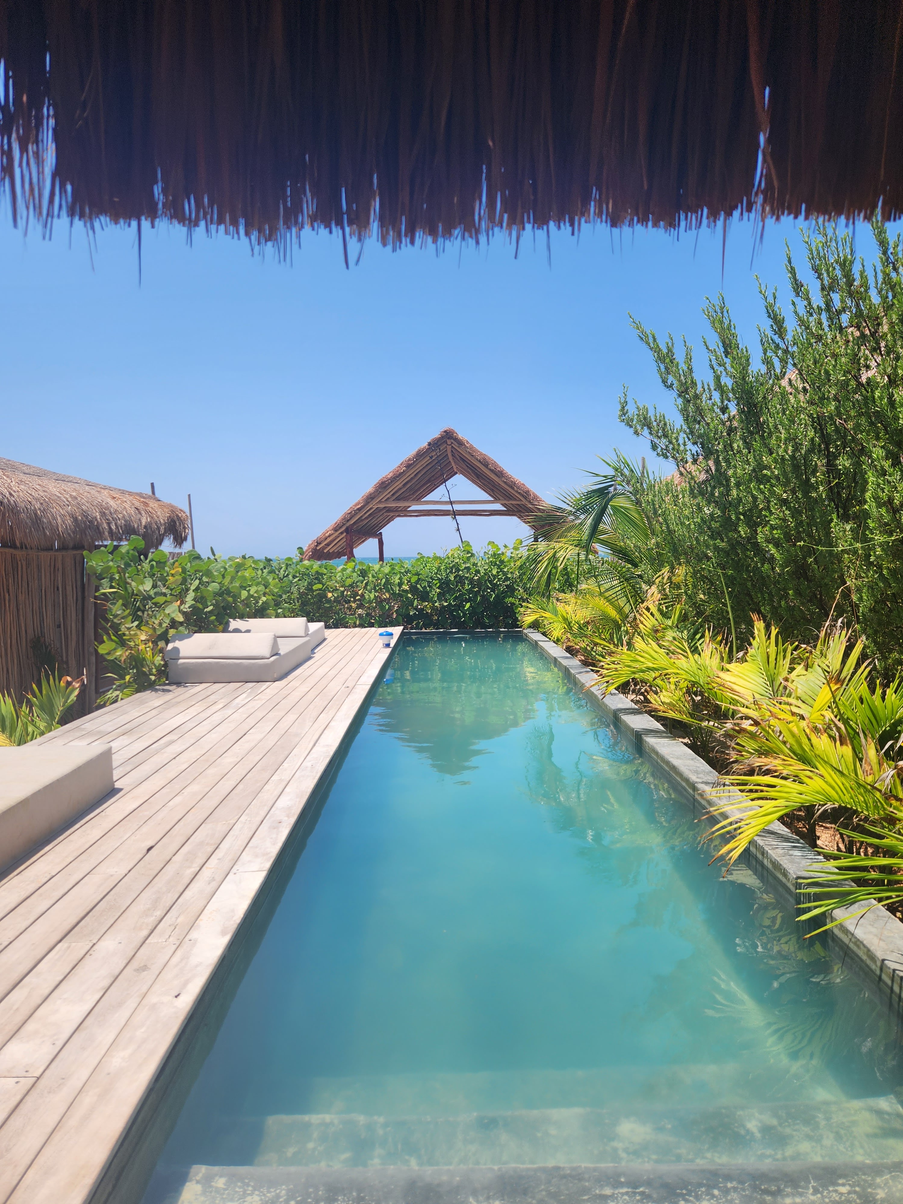 Nido restaurante San Bruno image 8