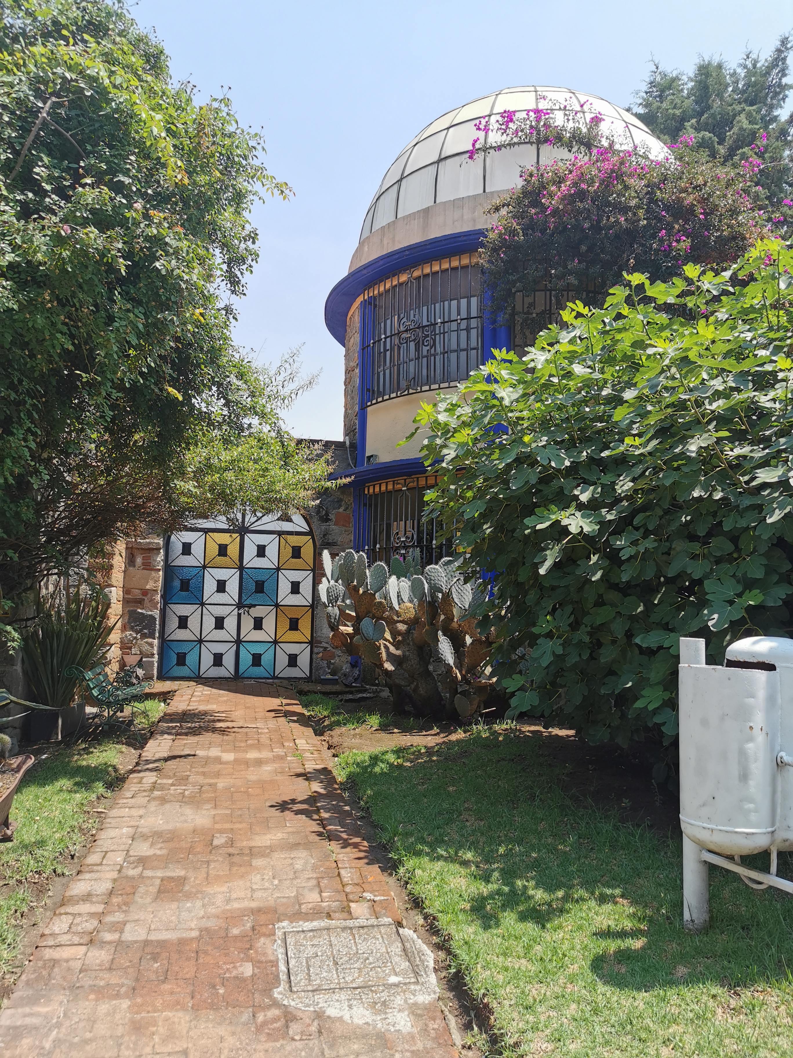 Hacienda Los Olivos image 6