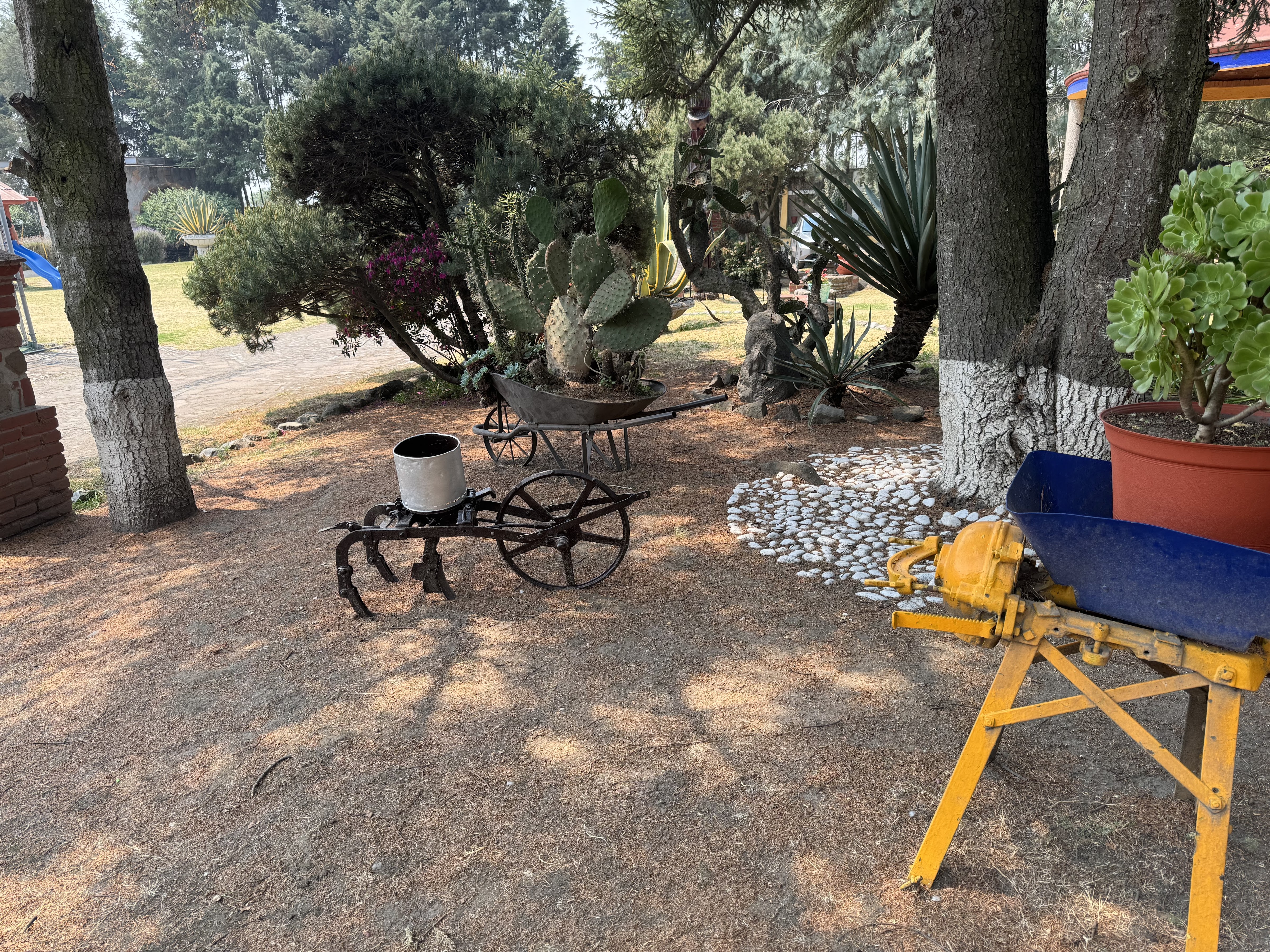 Hacienda Los Olivos image 7