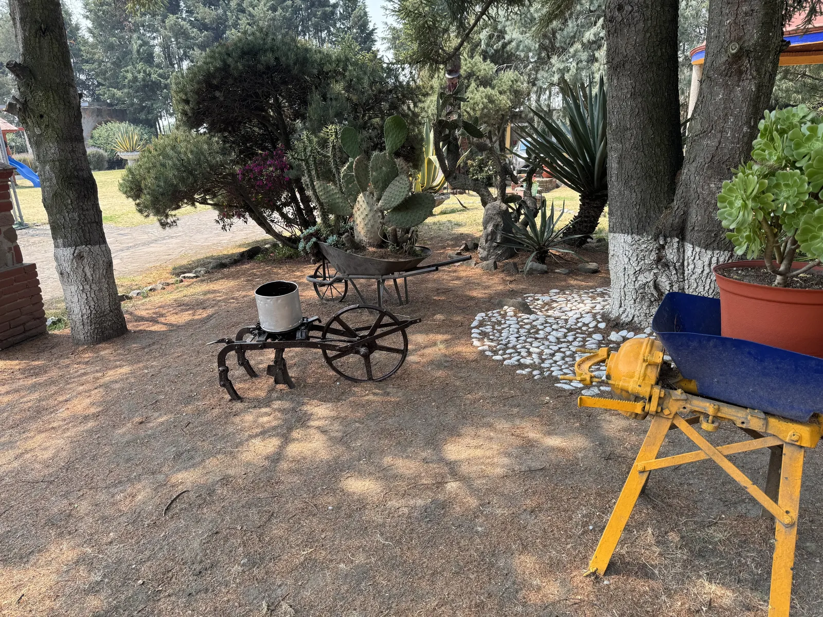 Hacienda Los Olivos image 7