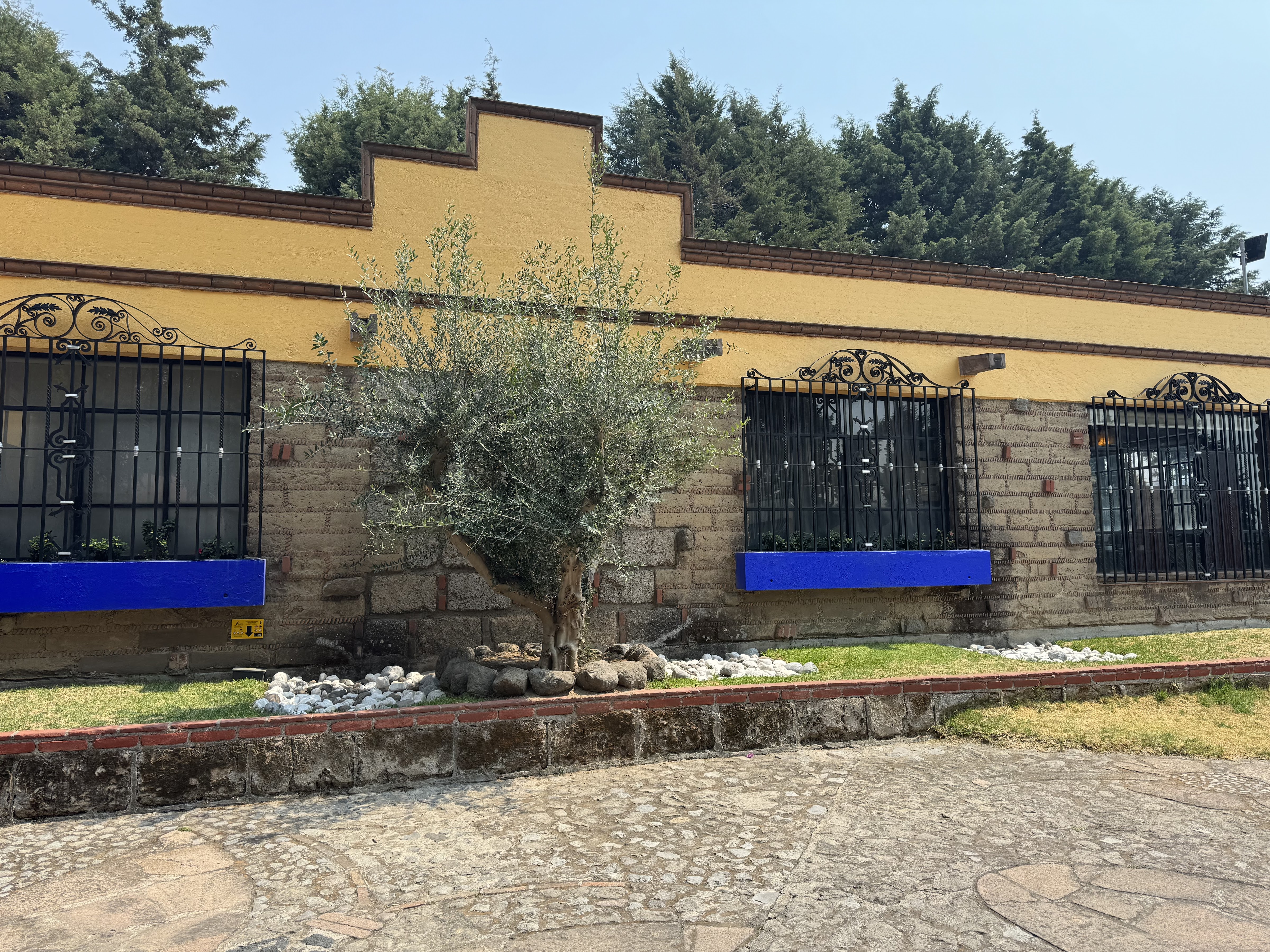 Hacienda Los Olivos image 8