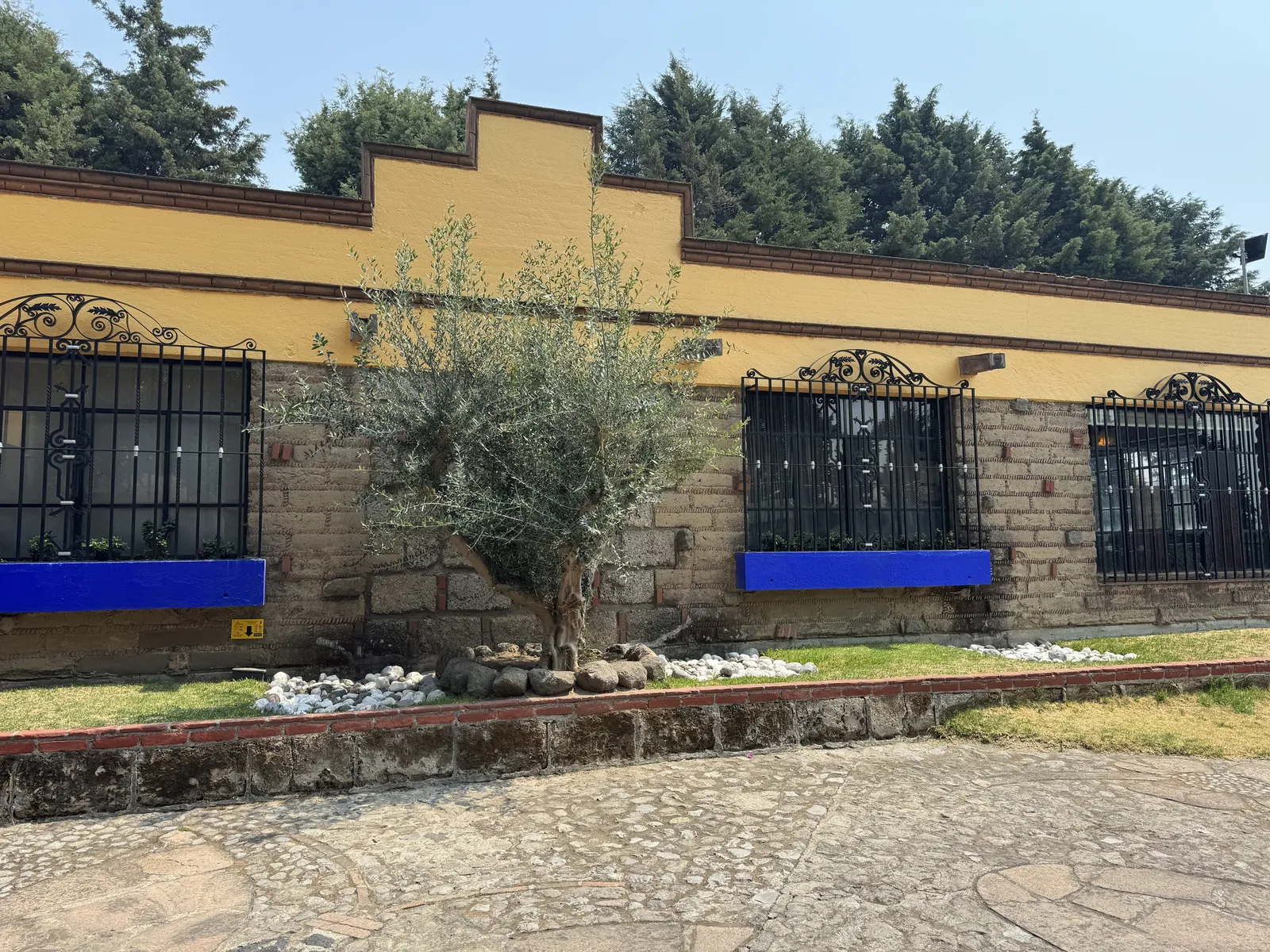 Hacienda Los Olivos image 8