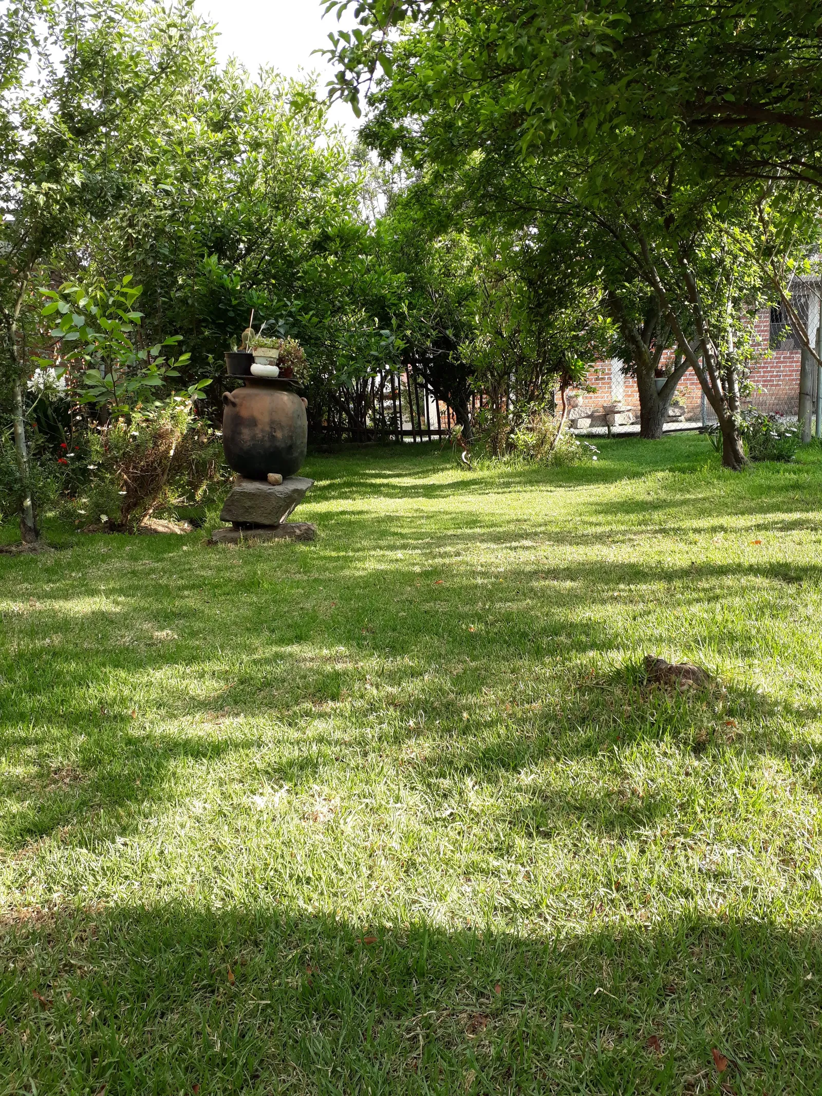 Cocina Muciño image 4