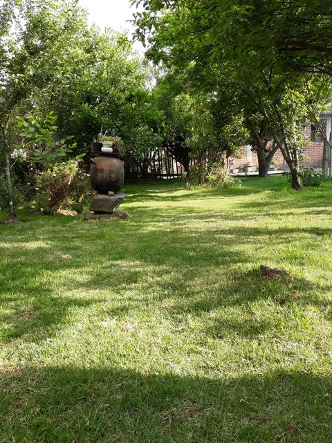 Cocina Muciño image 4
