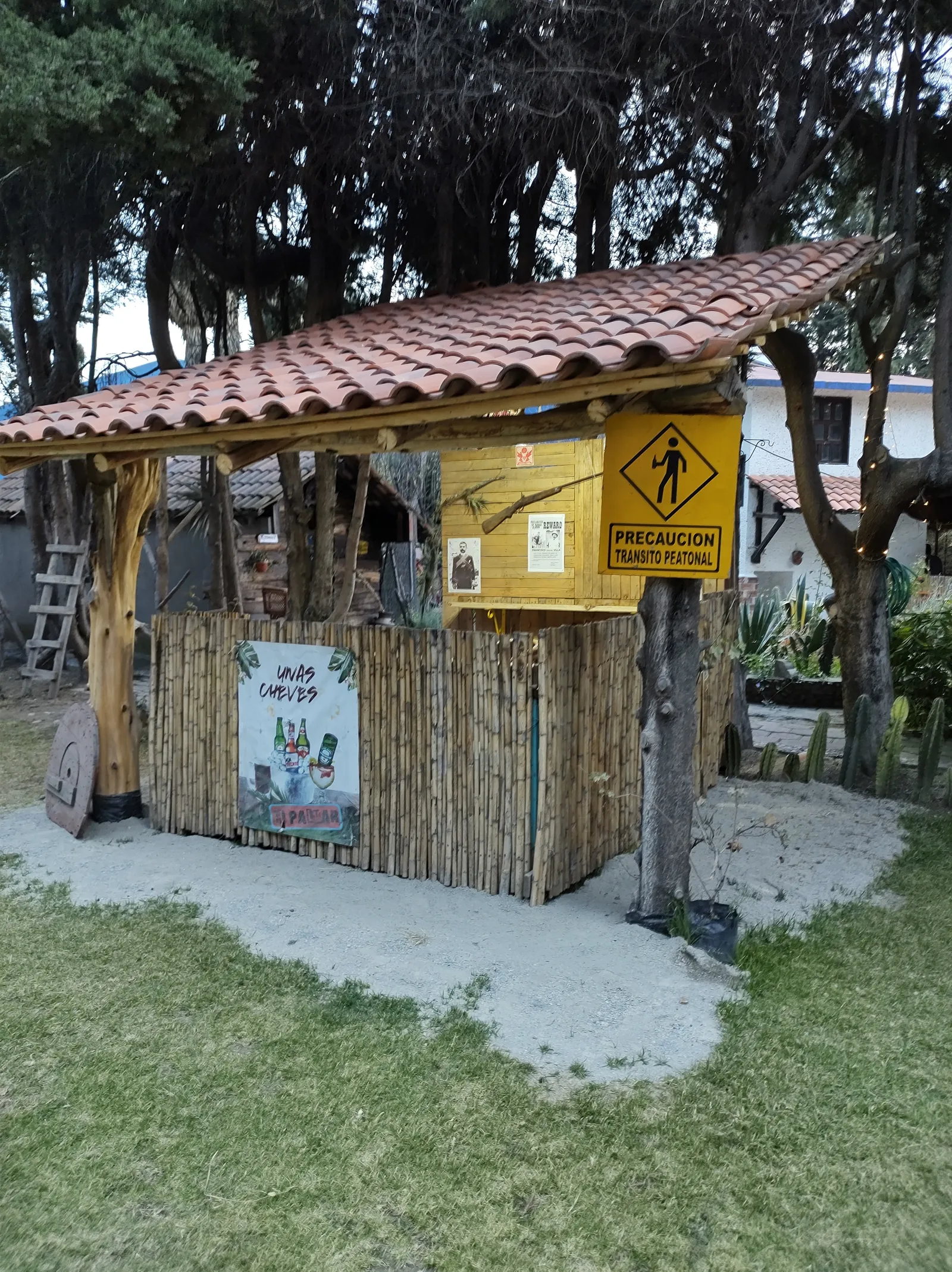 El Palmar image 5