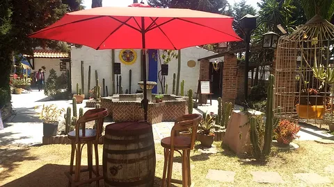 El Palmar image 6