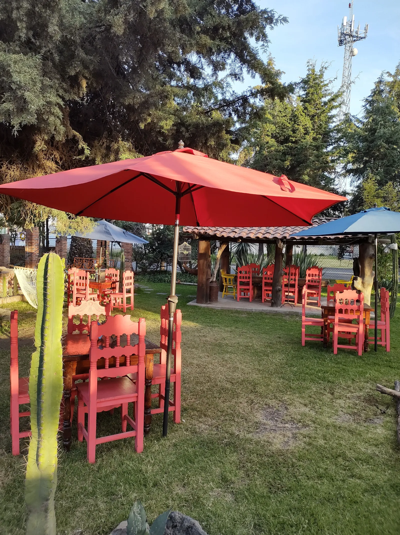 El Palmar image 7