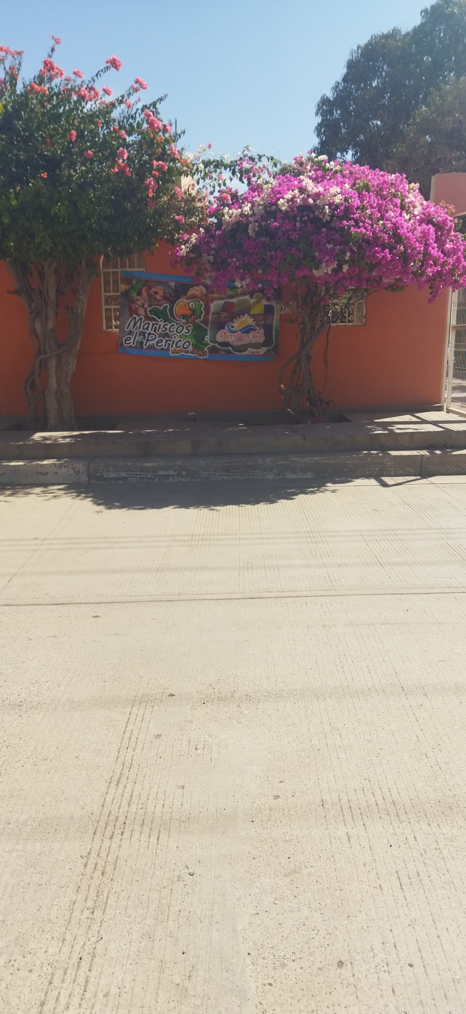 Mariscos el perico image 3