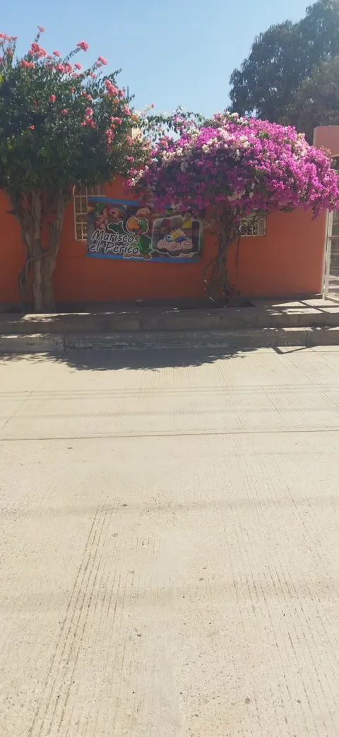 Mariscos el perico image 3