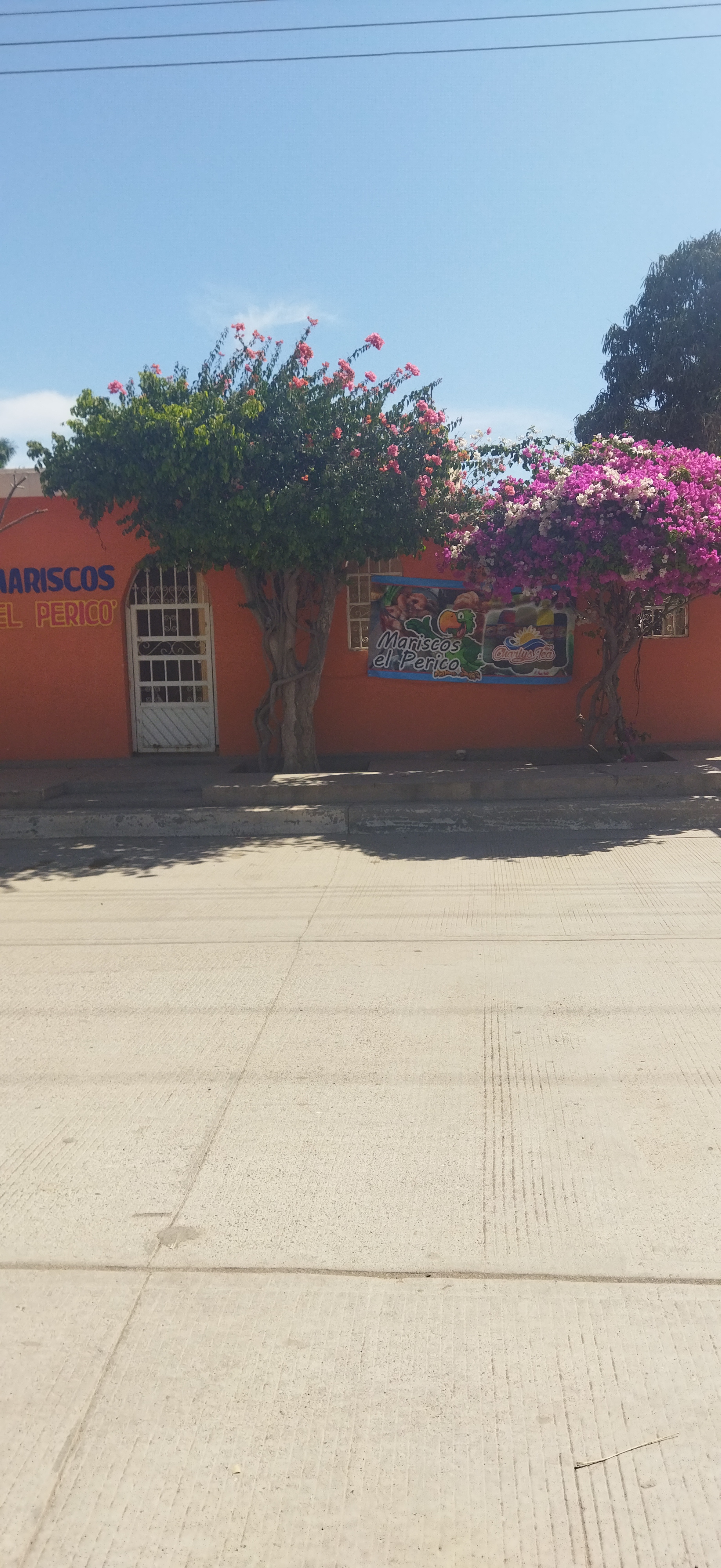 Mariscos el perico image 4