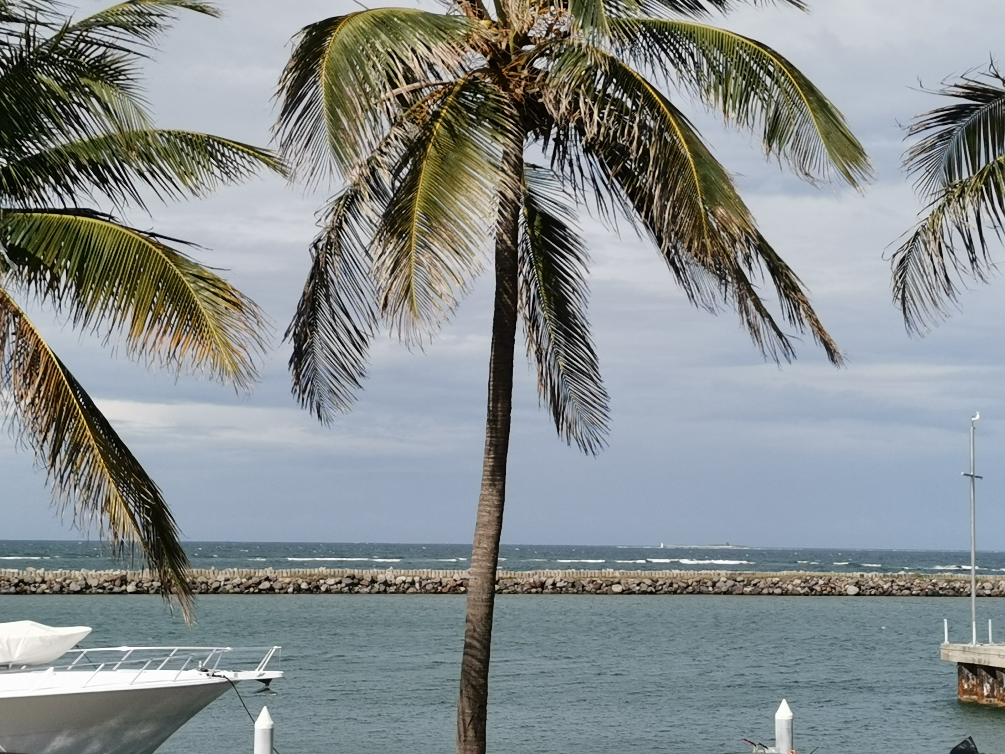 Restaurante mi Veracruz image 3