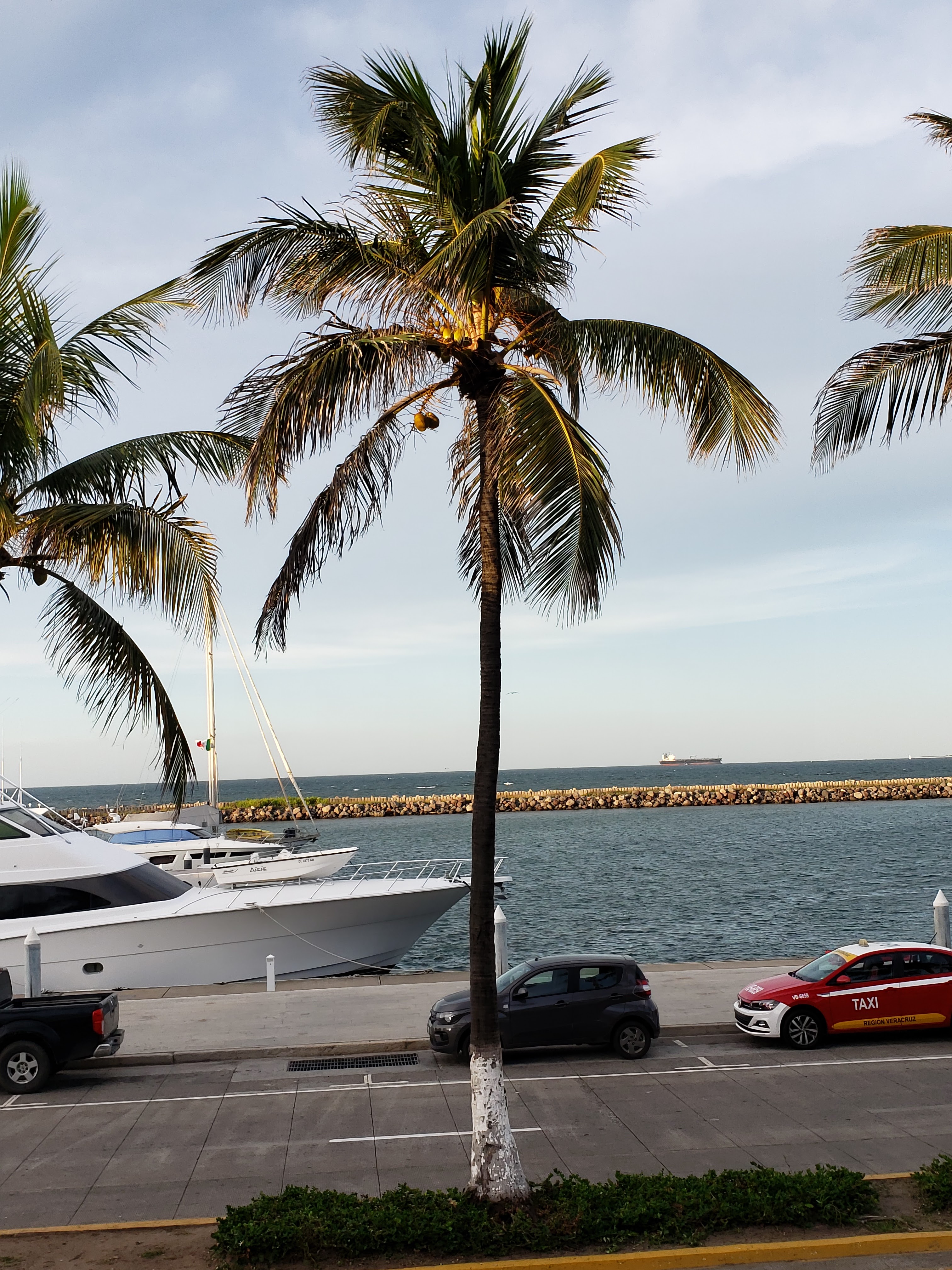 Restaurante mi Veracruz image 4