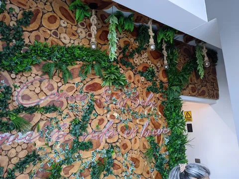 Casa Madera image 7