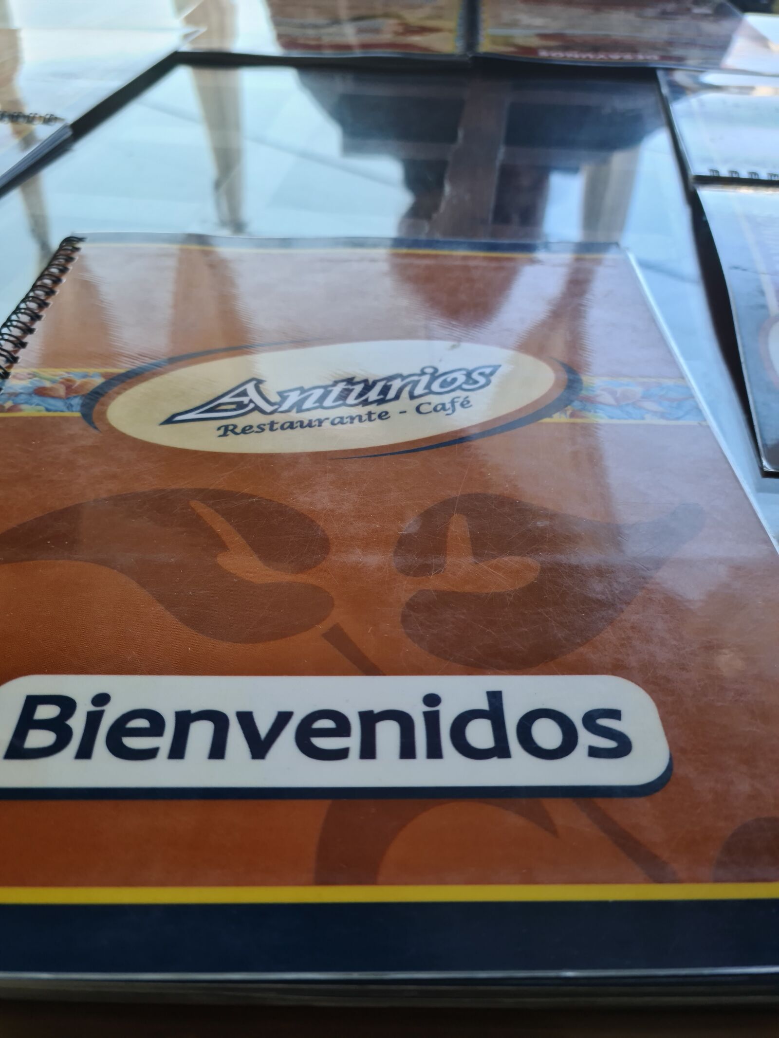 Anturios image 7