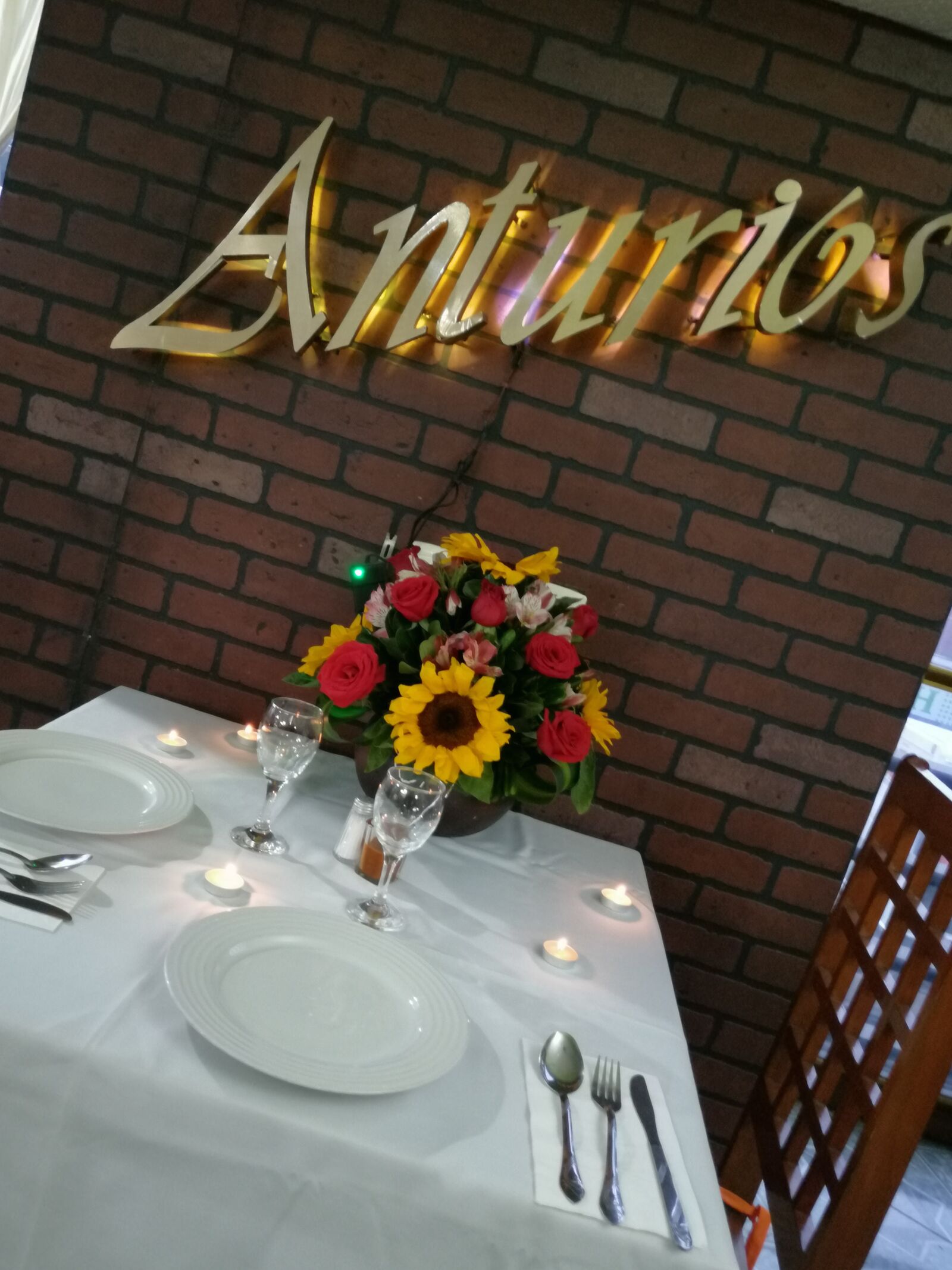 Anturios image 10