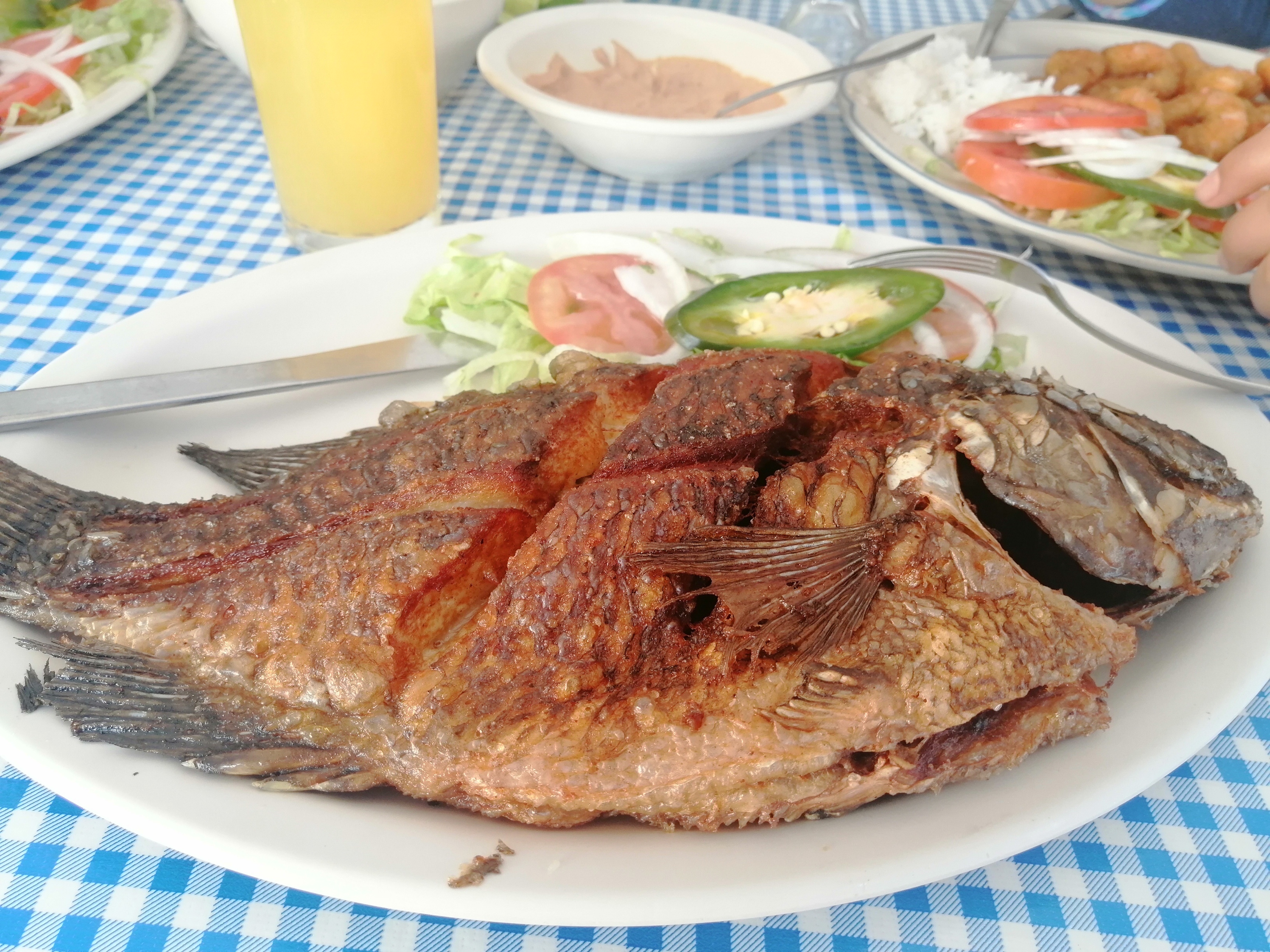 Jarocho's Restaurant & Cocktail Bar image 9