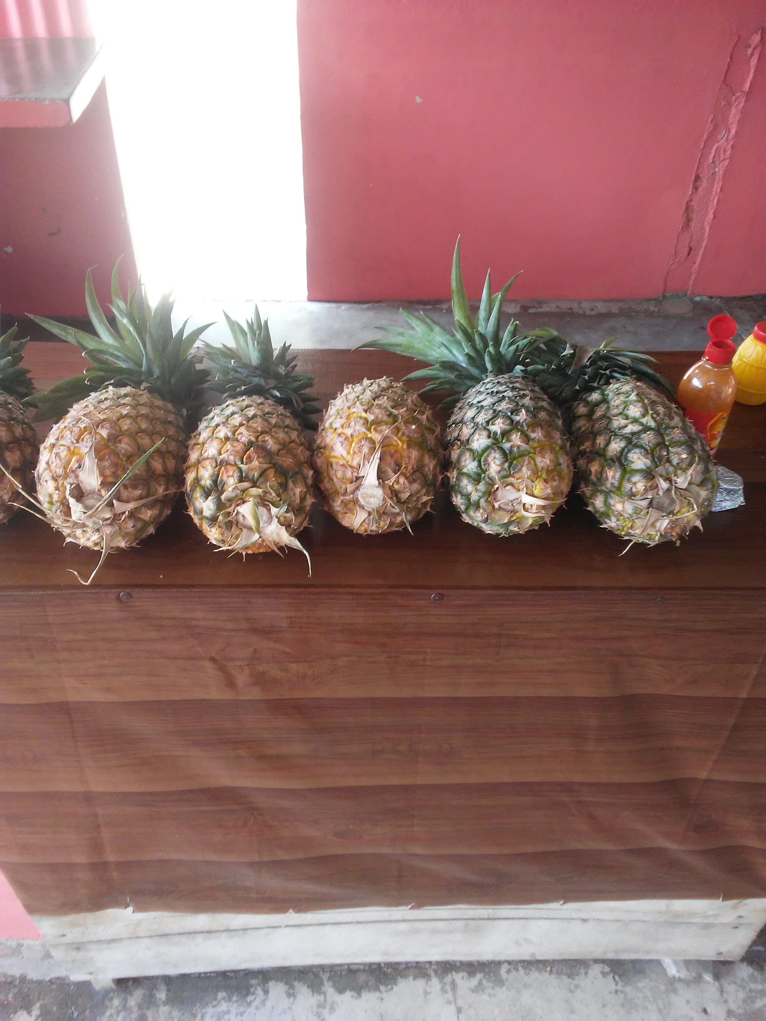 Antojitos Doña Julia image 10