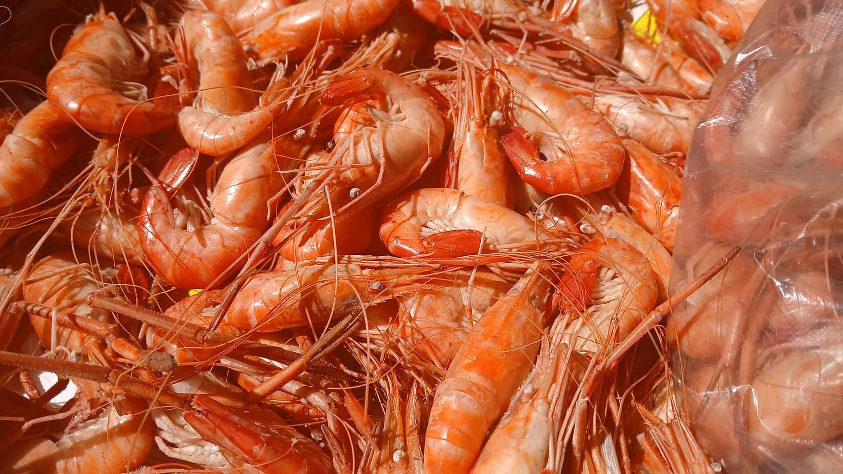 EL RINCON DE DOÑA OFE image 2