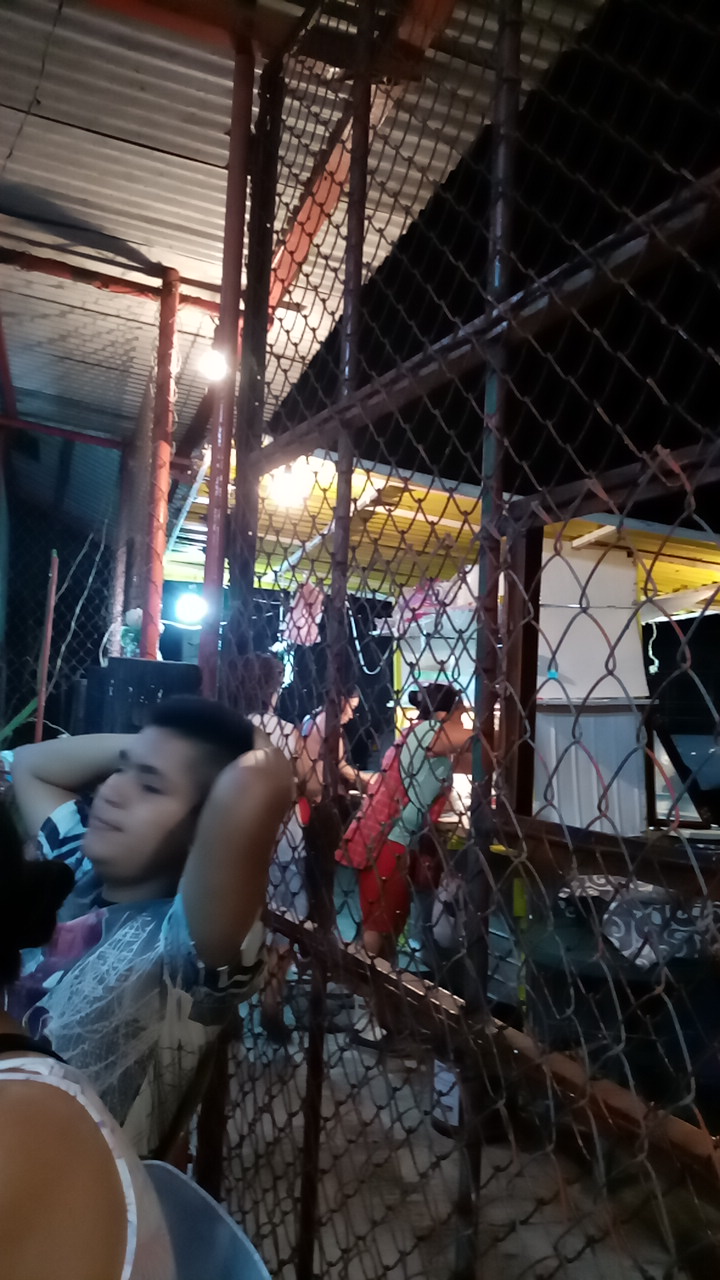 Taquería Tomás Jr image 5