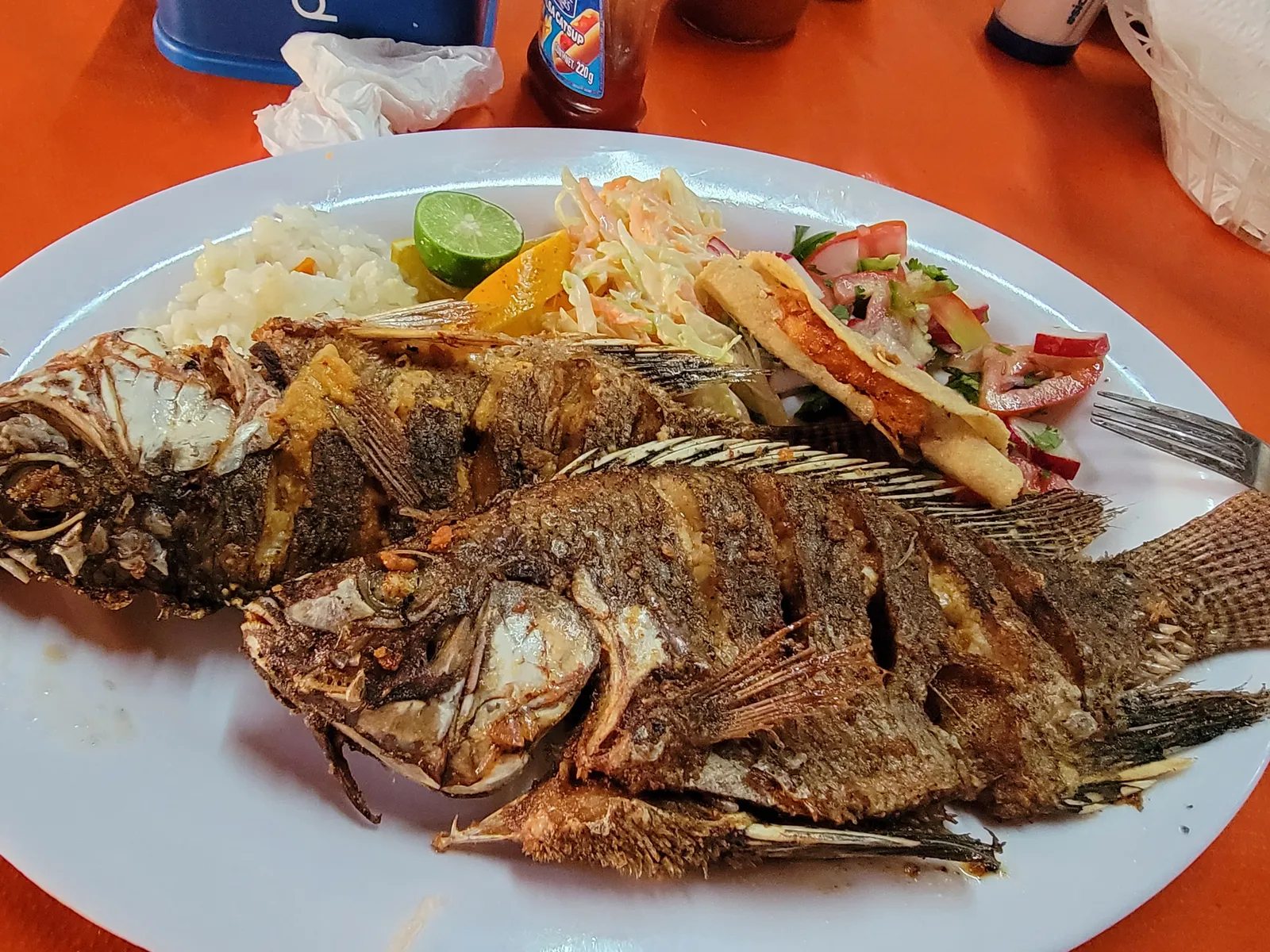 Mariscos Y Mojarras Richi Peña image 3