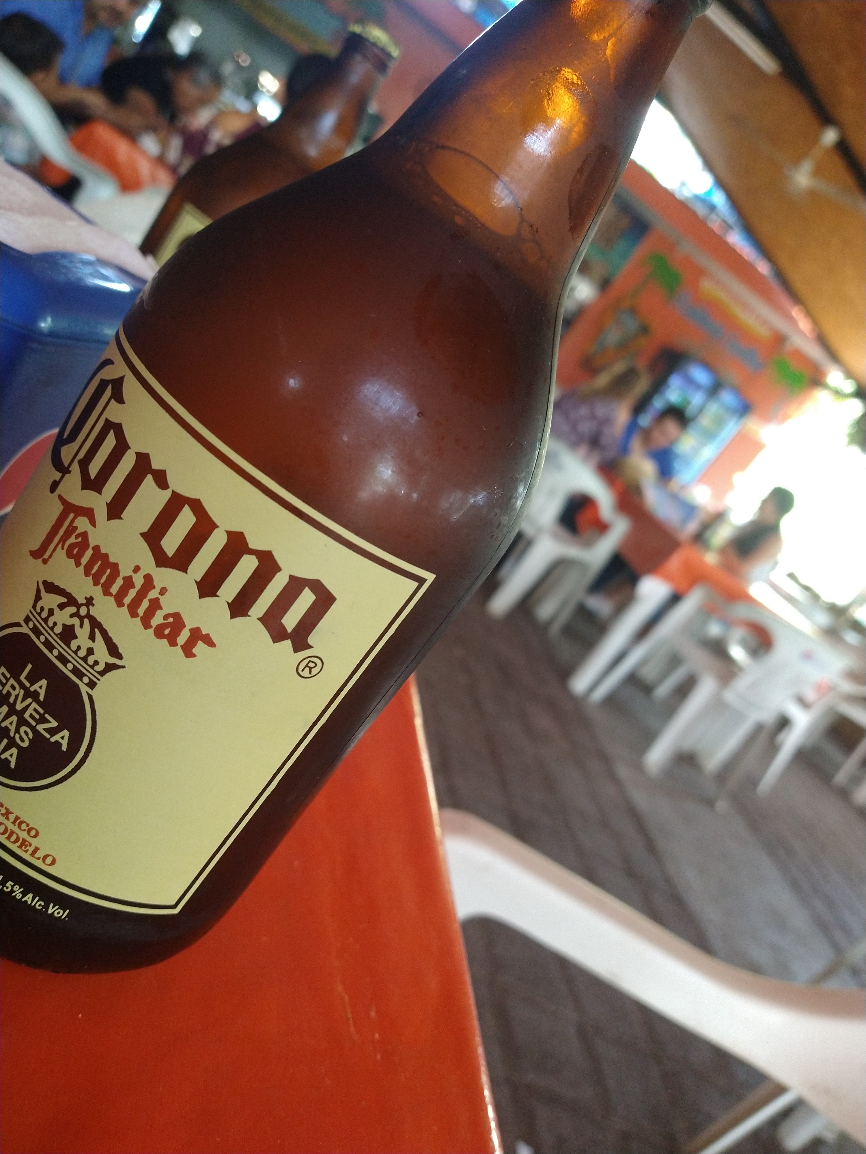 Mariscos Y Mojarras Richi Peña image 9