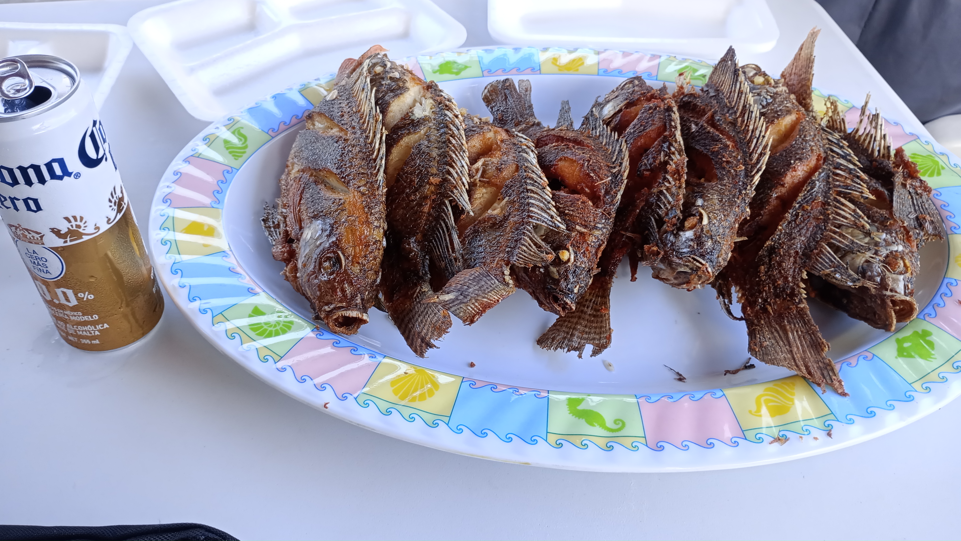 LA JAIBA LOCA image 5