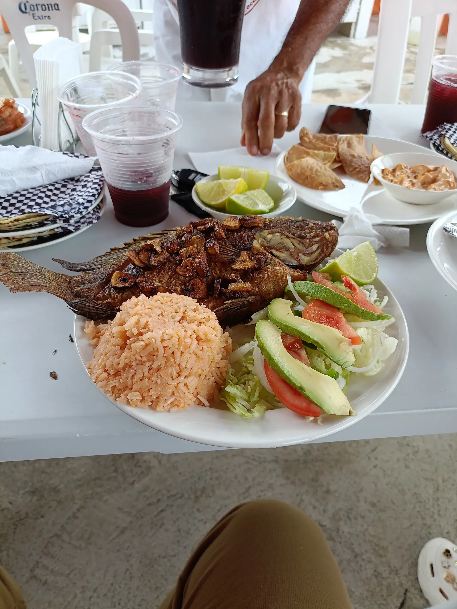 LA JAIBA LOCA image 7