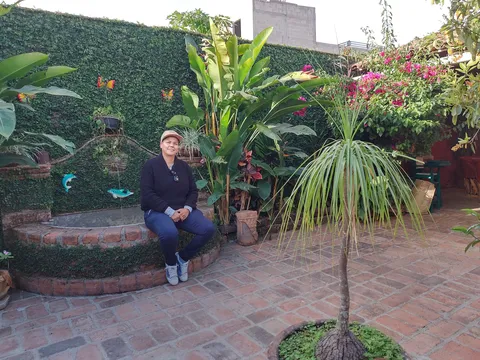 El Patio De Mario image 5