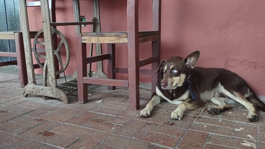 Betto's Burger Bar image 5