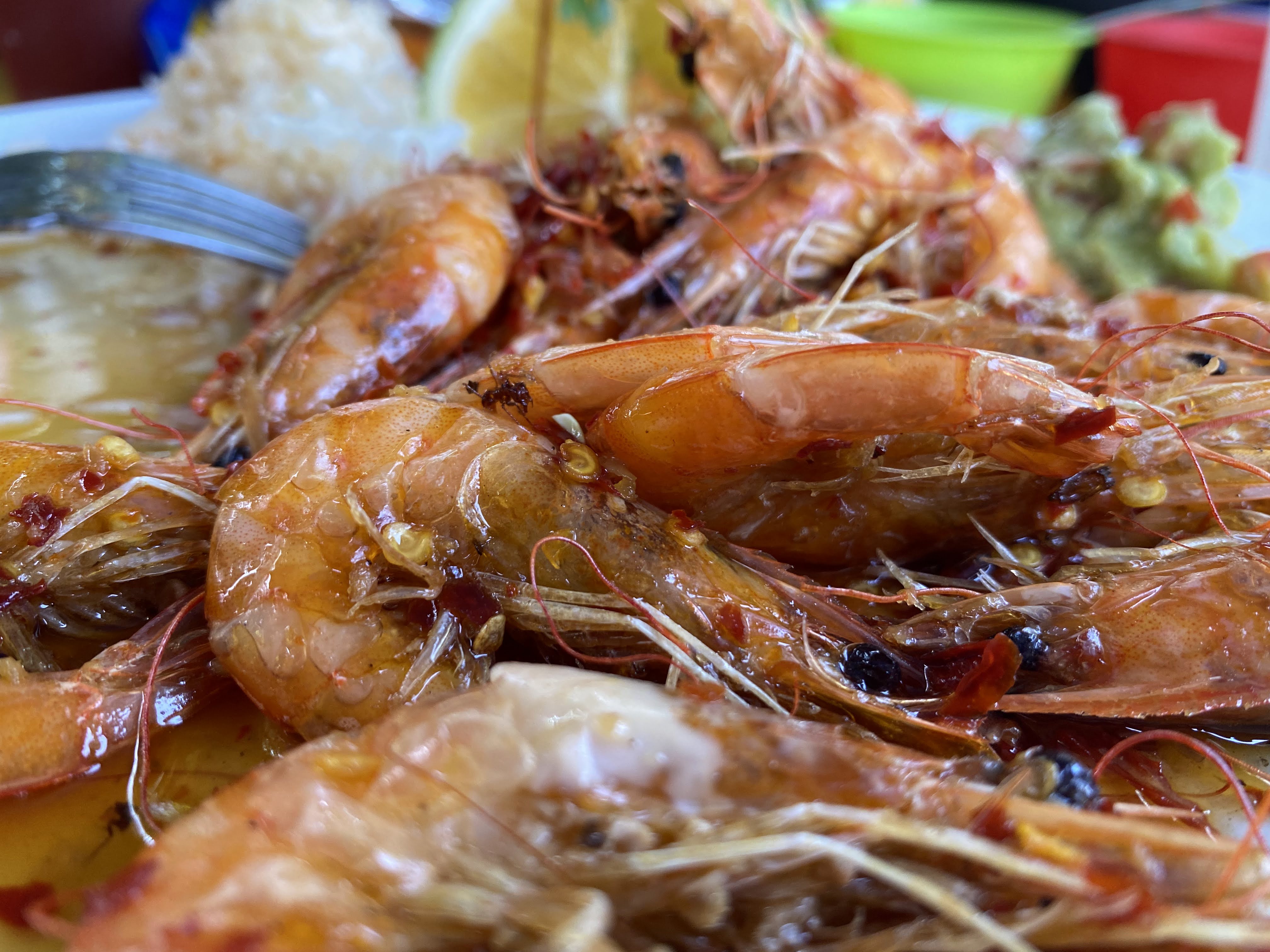 El Mojarro restaurant familiar image 10