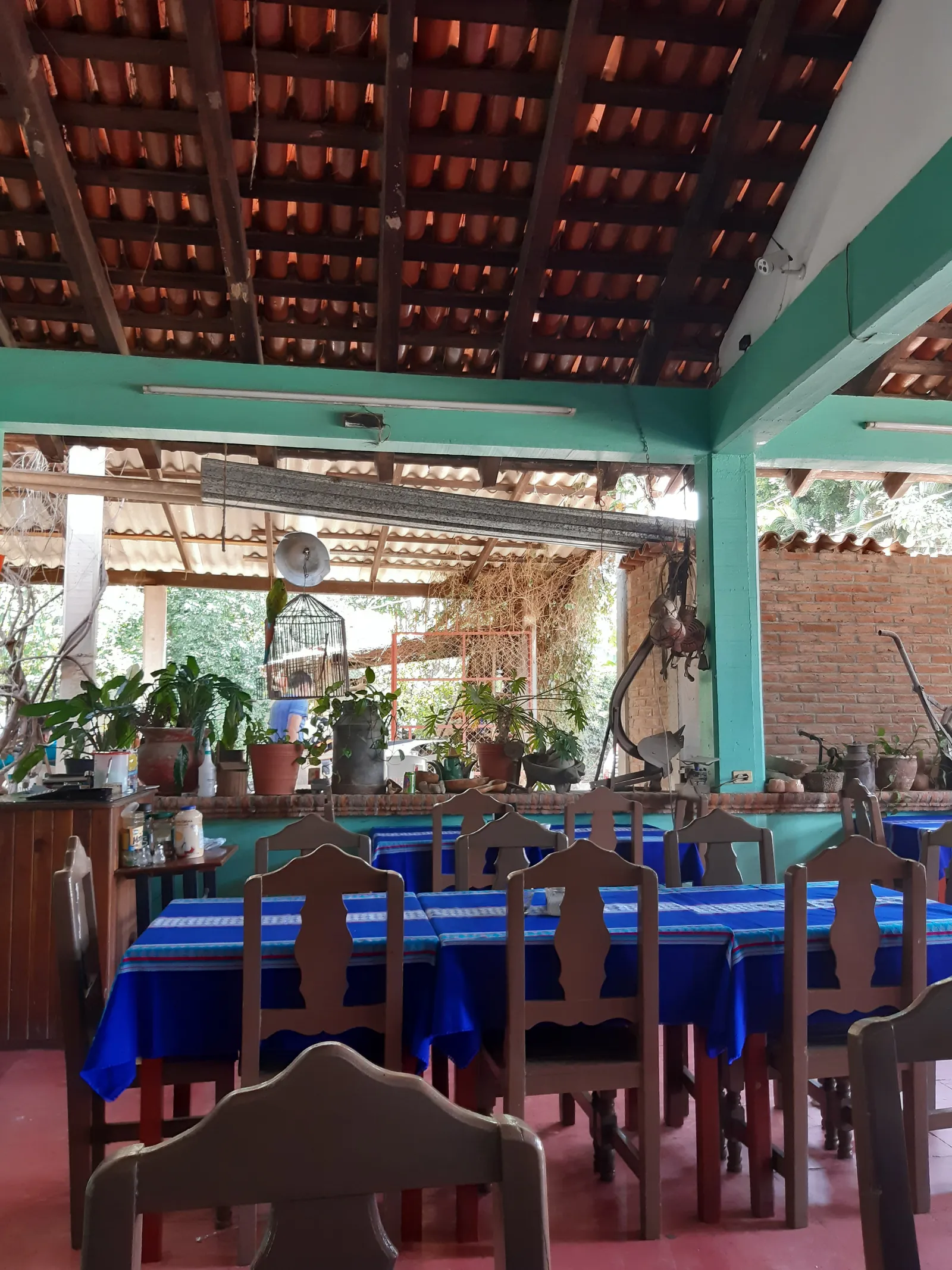 Nuevo Restaurant Nena image 6