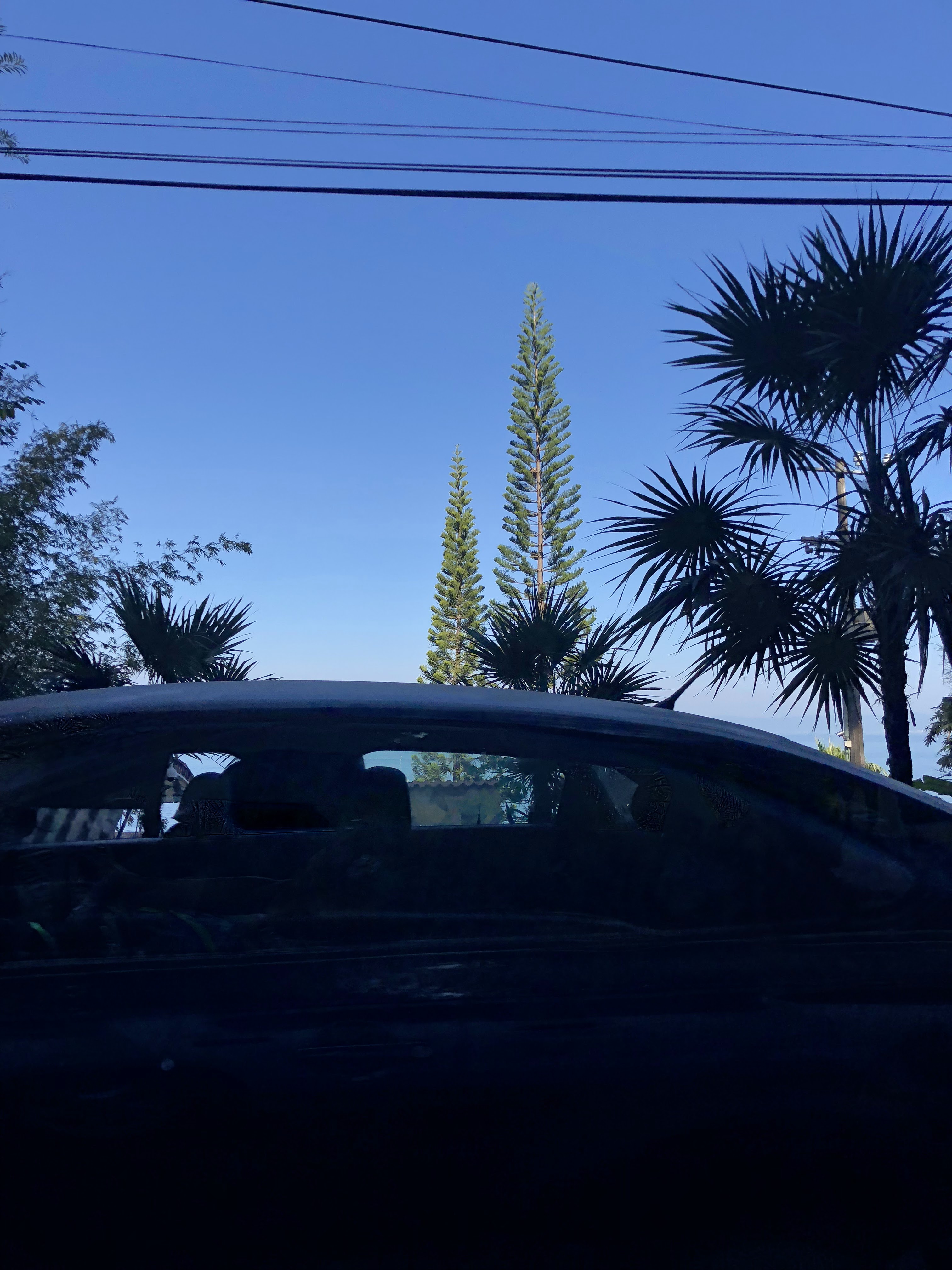 Nuevo Restaurant Nena image 7