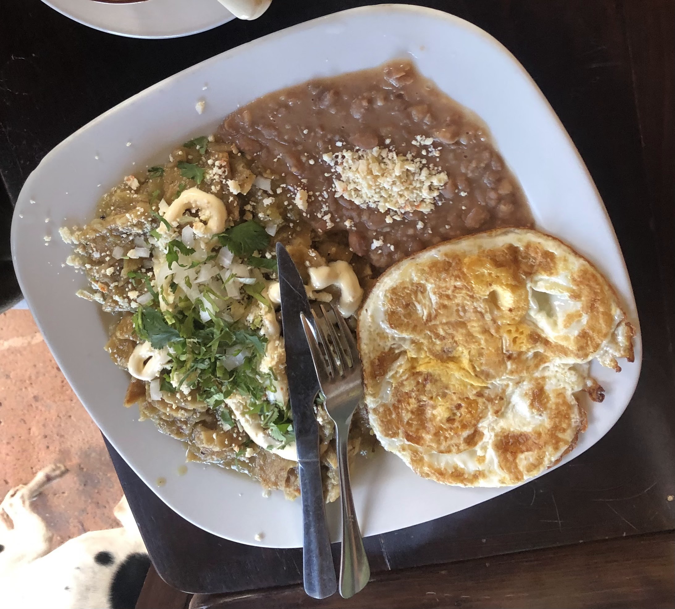 Restaurant bar Rosita tortillas artesanales image 2