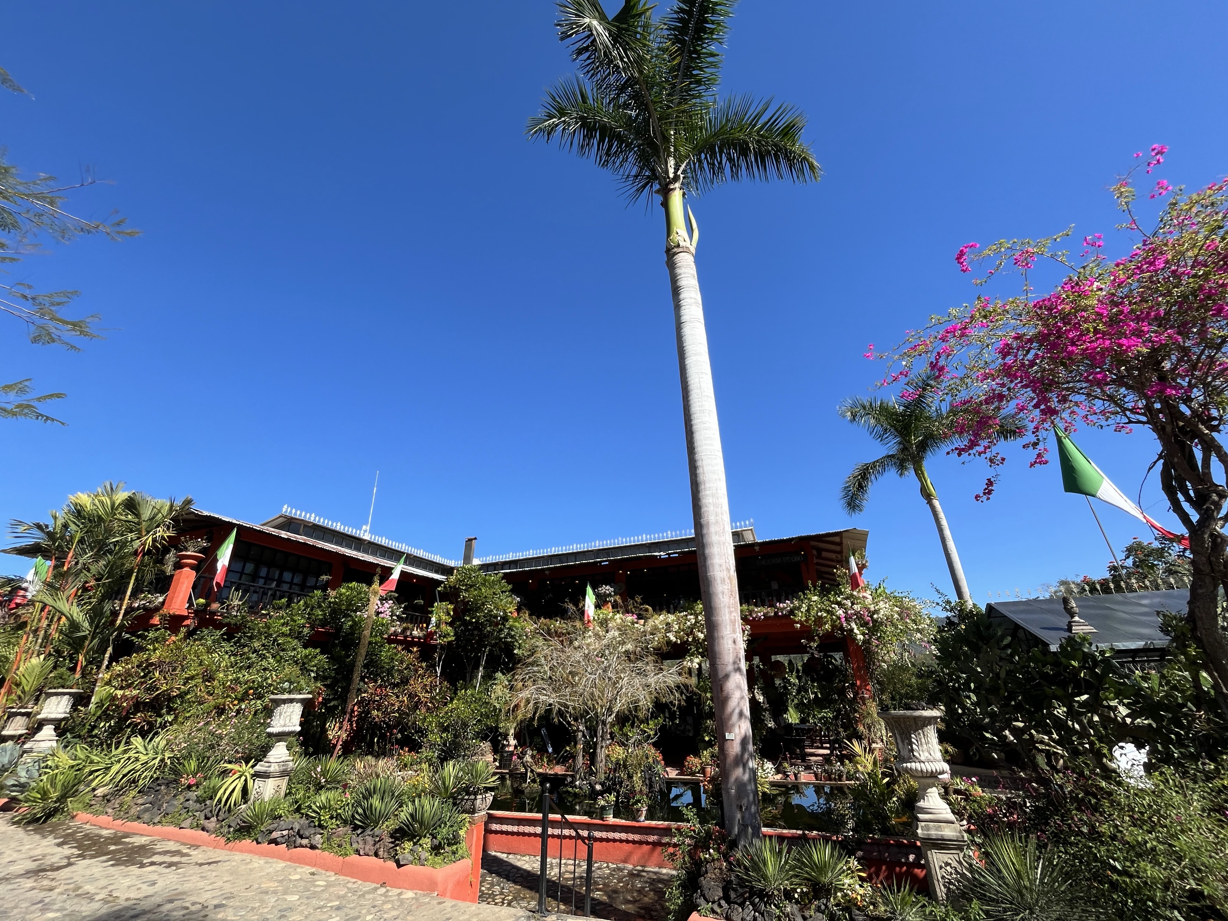 Restaurant & Bar Hacienda de Oro image 6