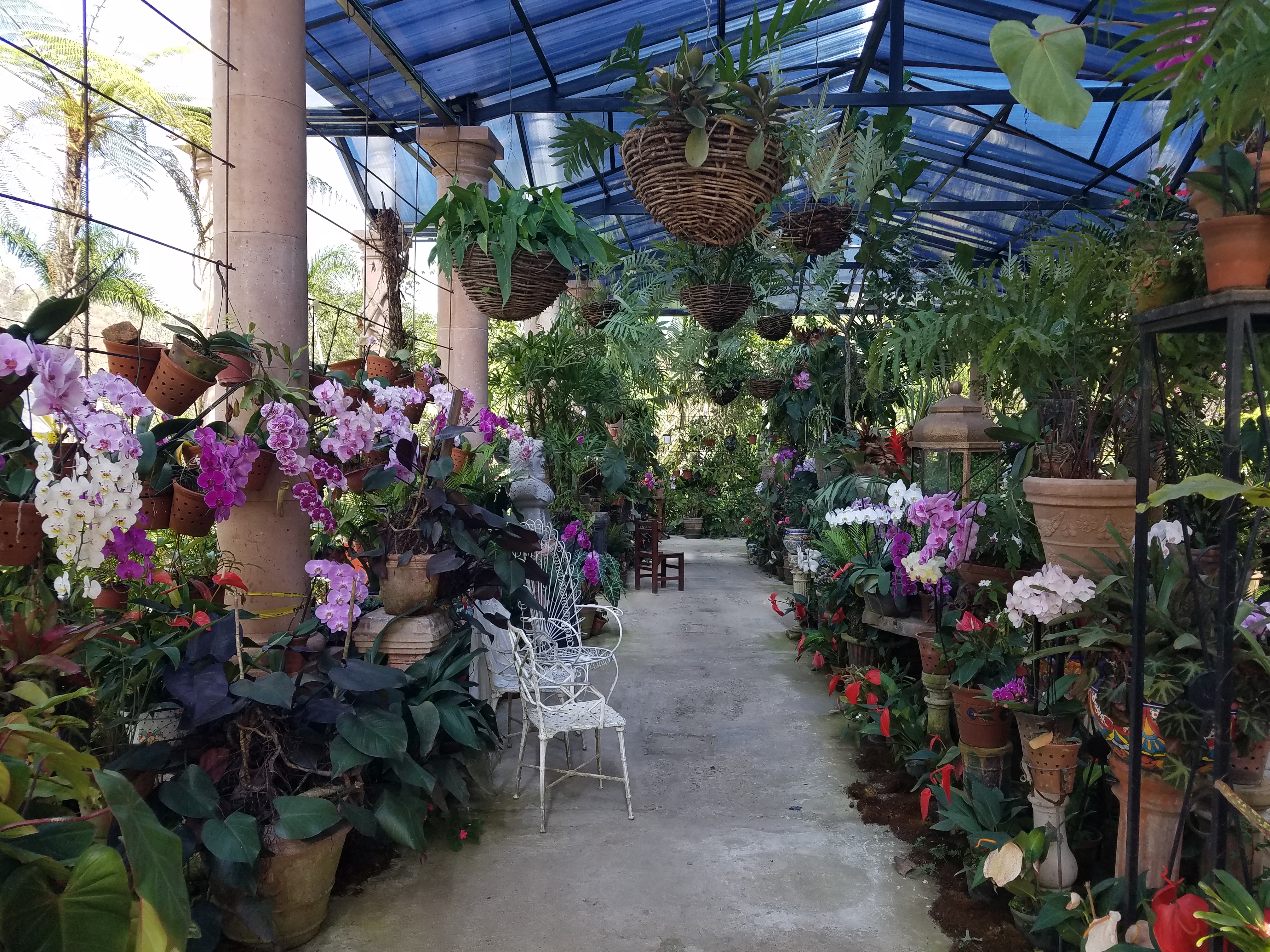 Restaurant & Bar Hacienda de Oro image 8