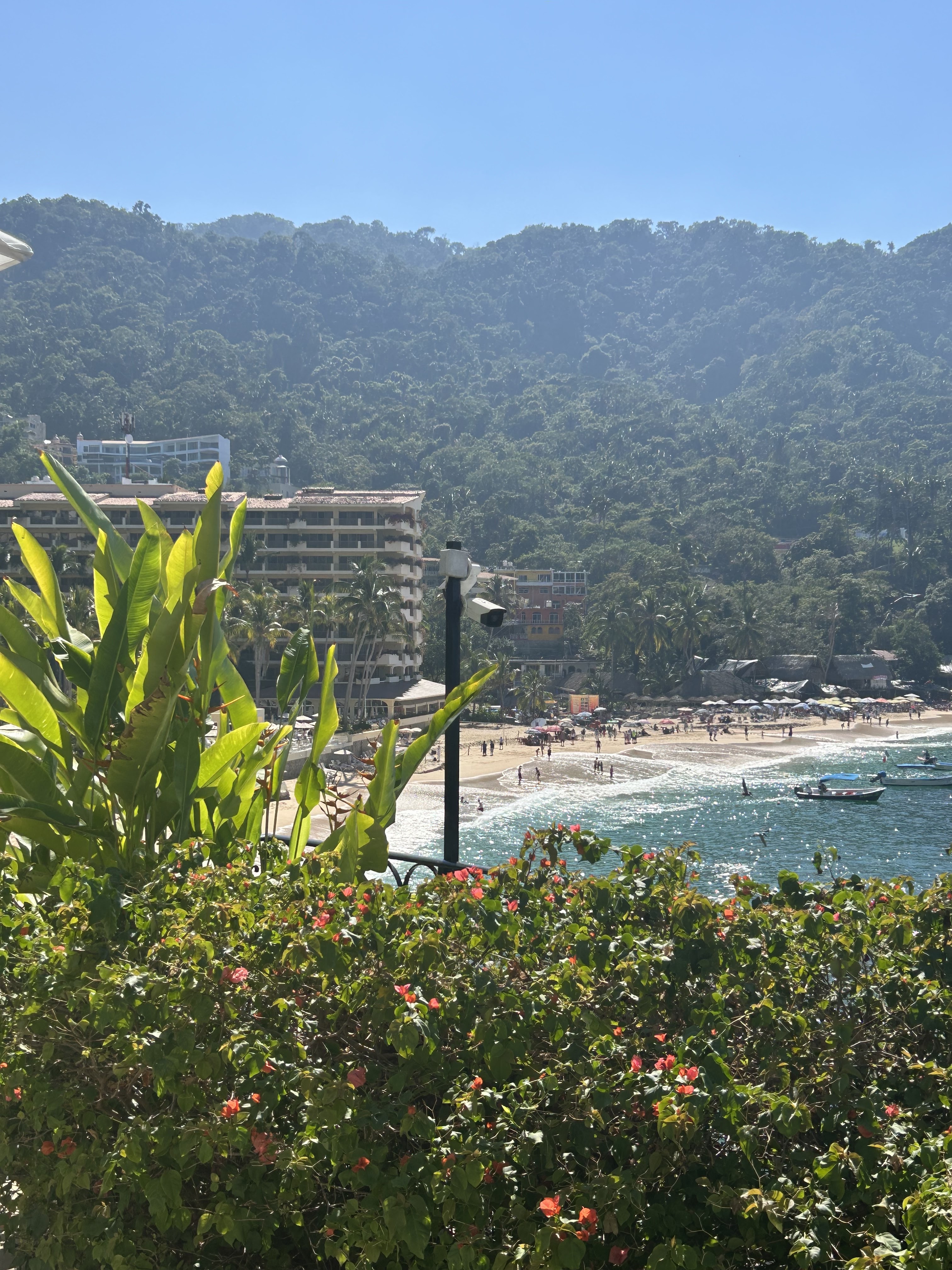 Mismaloya Grill Restaurant image 4