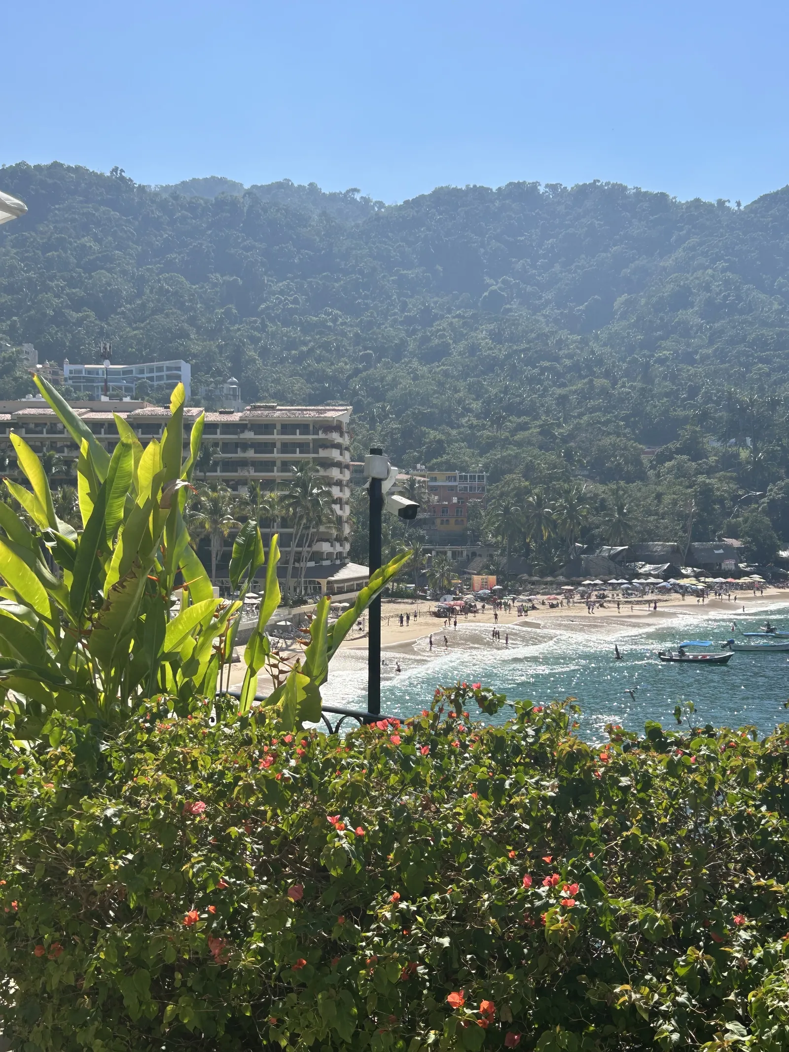 Mismaloya Grill Restaurant image 4