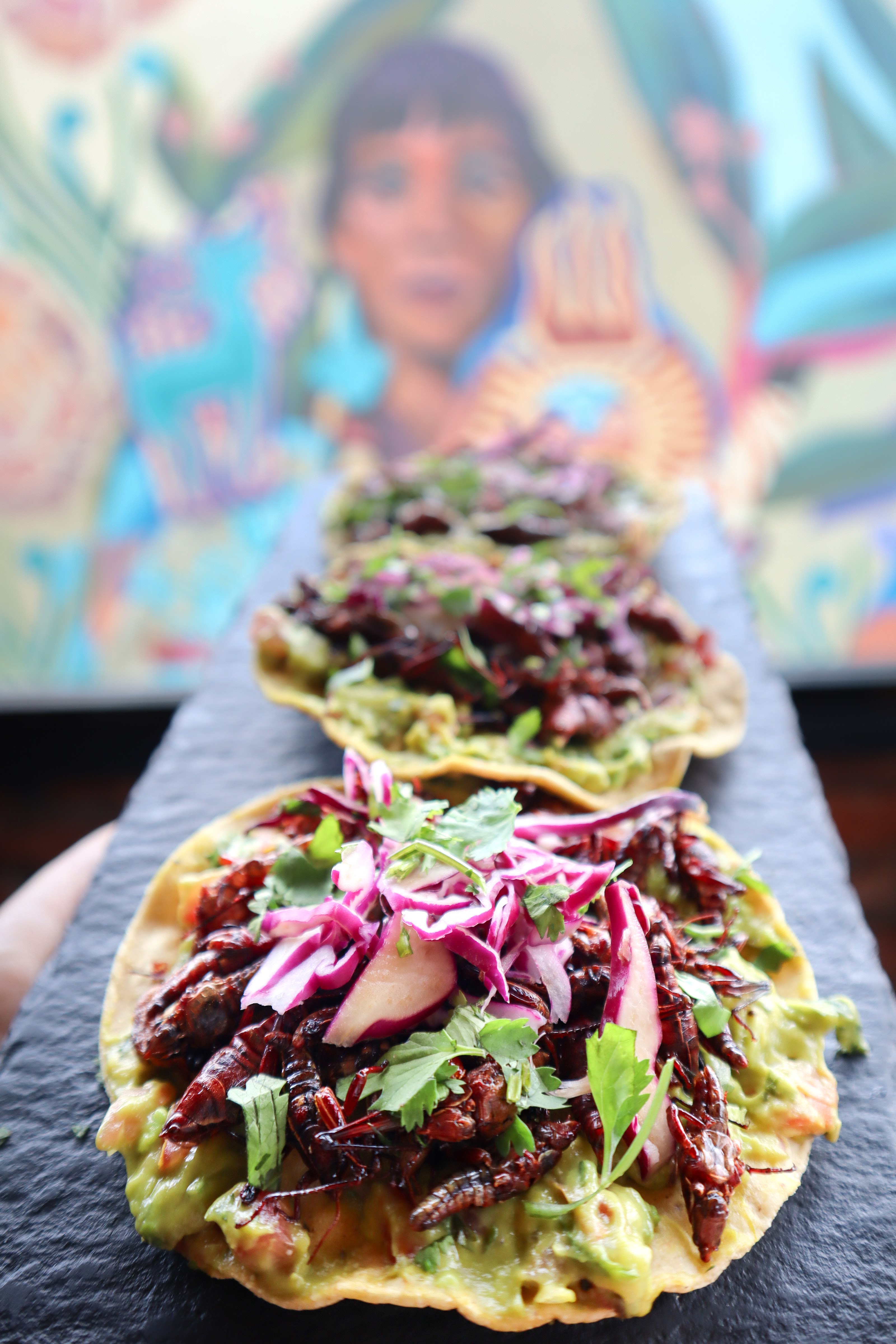 El Rey Zacatecas image 2