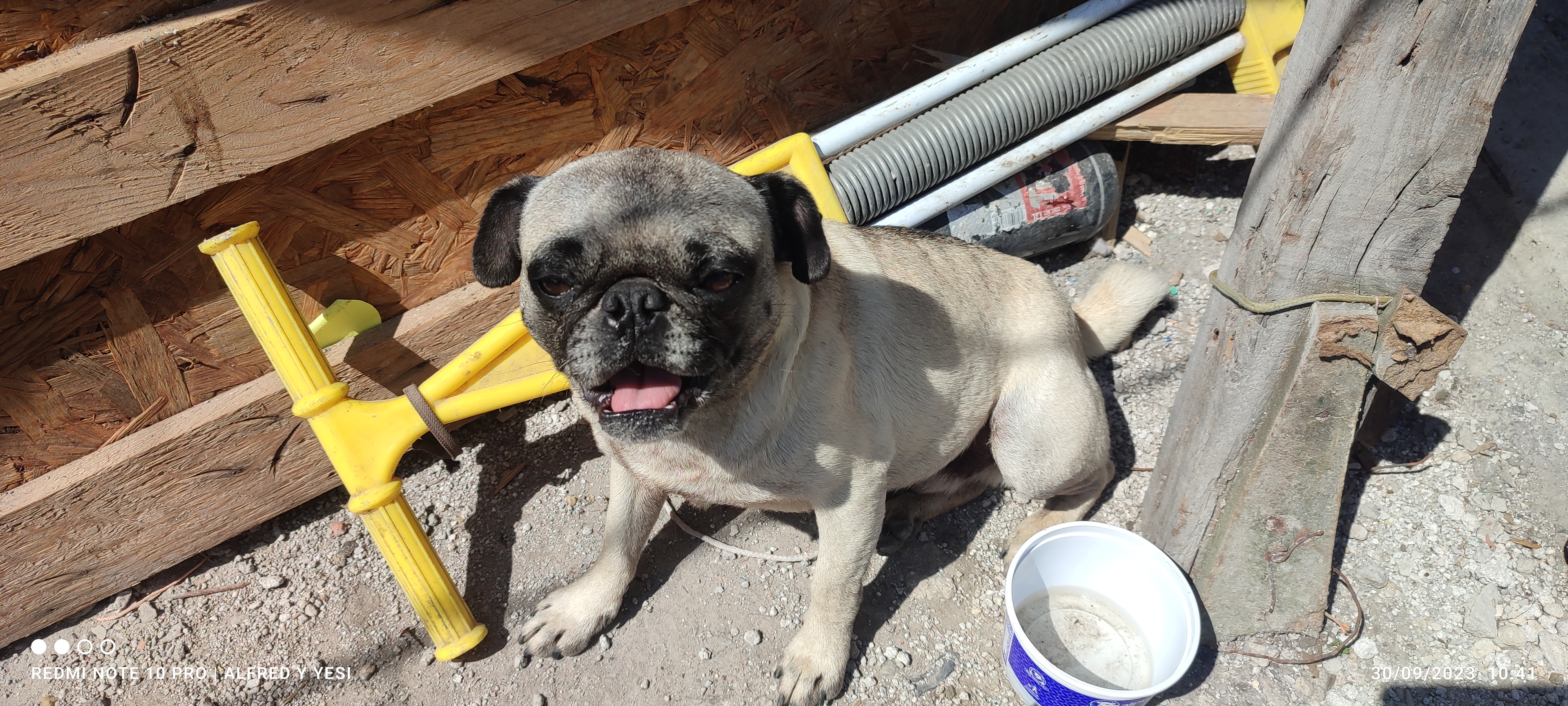 La Casa De Rafa image 10