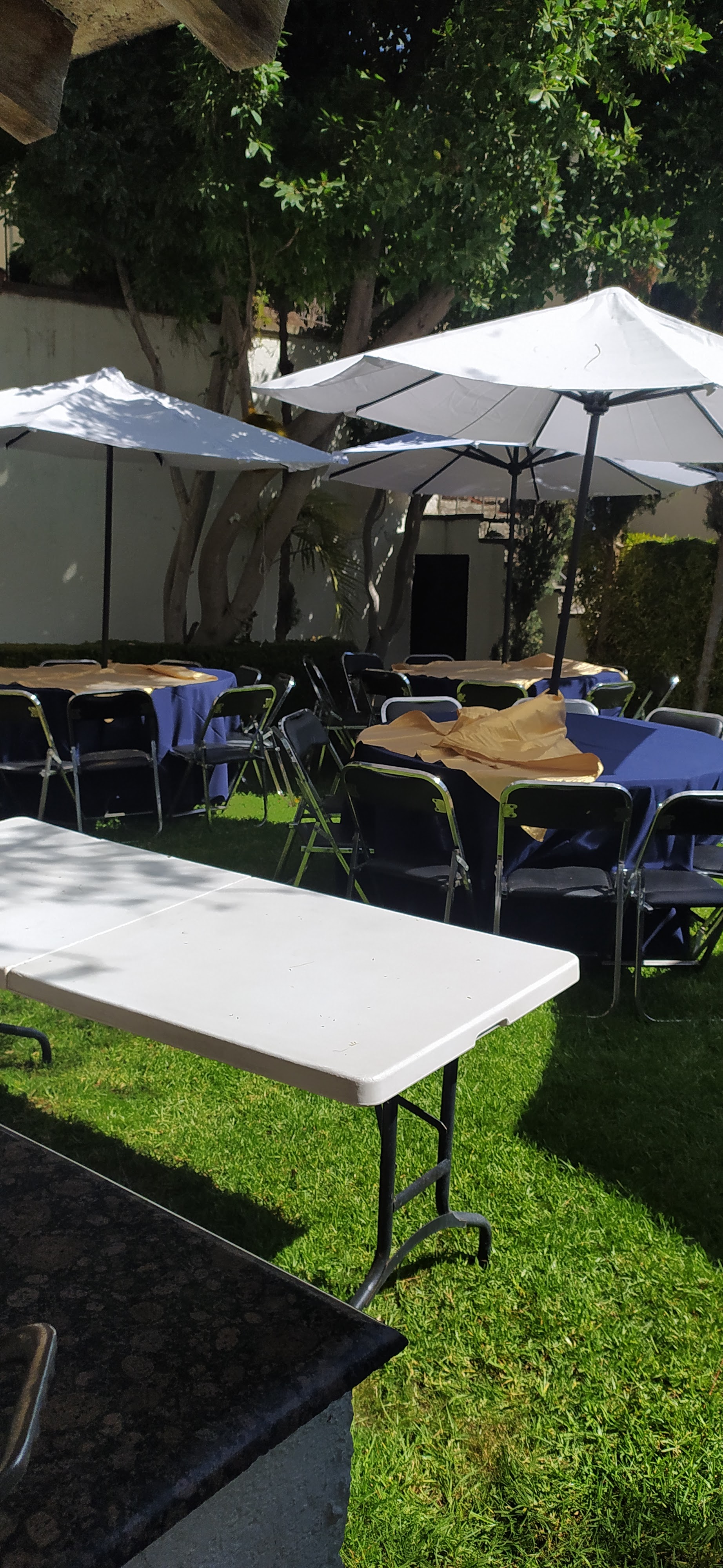 EL PATRON Don Carlos Restaurante image 4