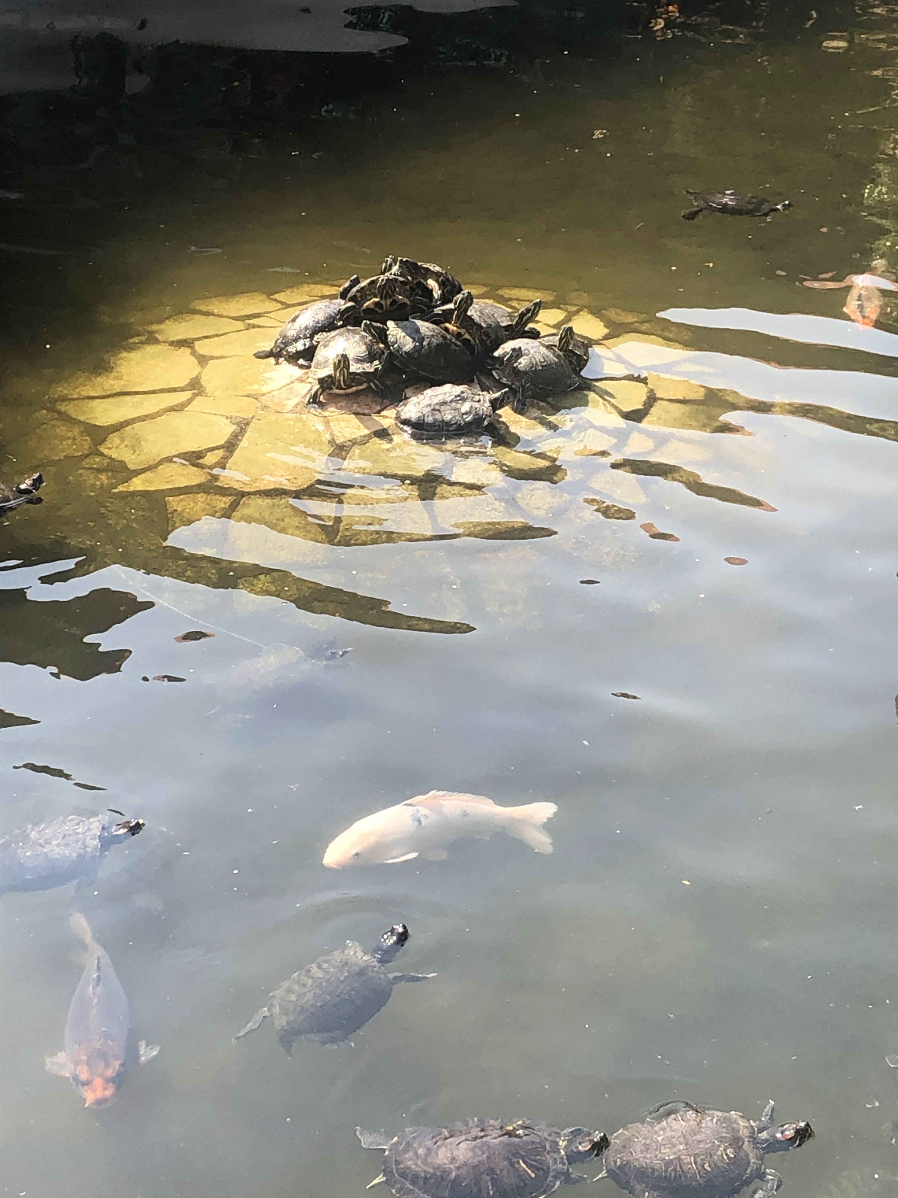 Restaurante Coty Y Pablo image 4