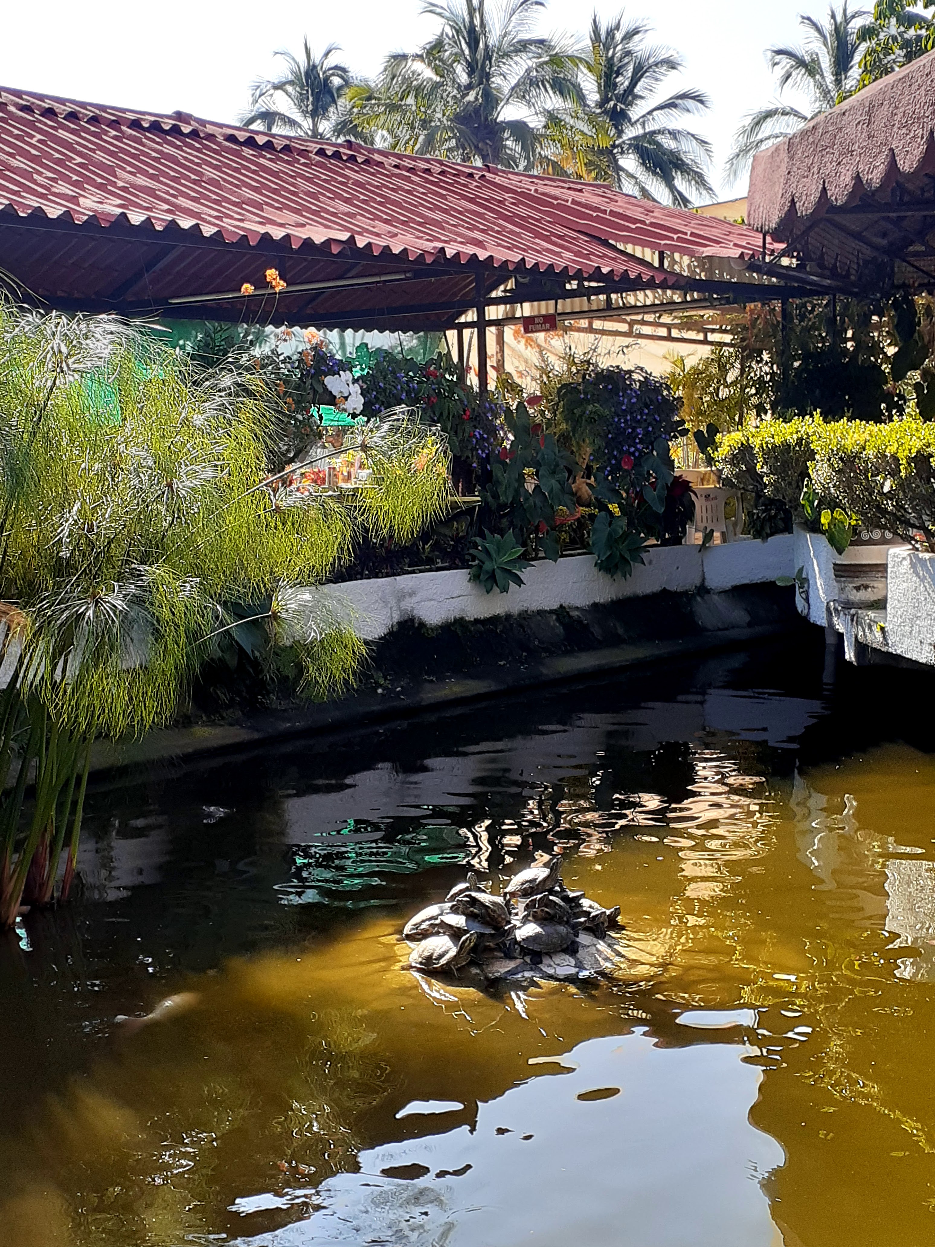 Restaurante Coty Y Pablo image 7