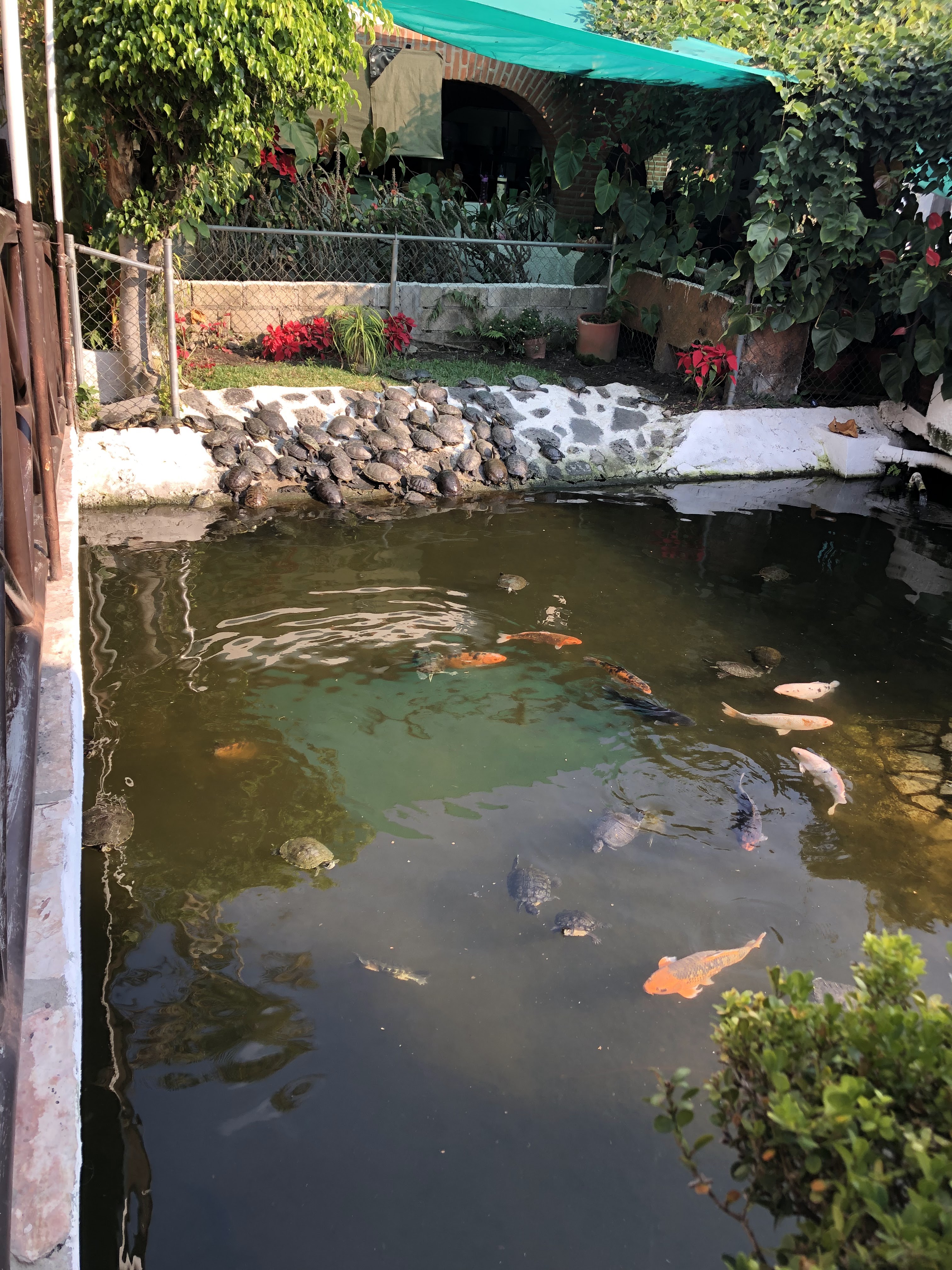 Restaurante Coty Y Pablo image 8