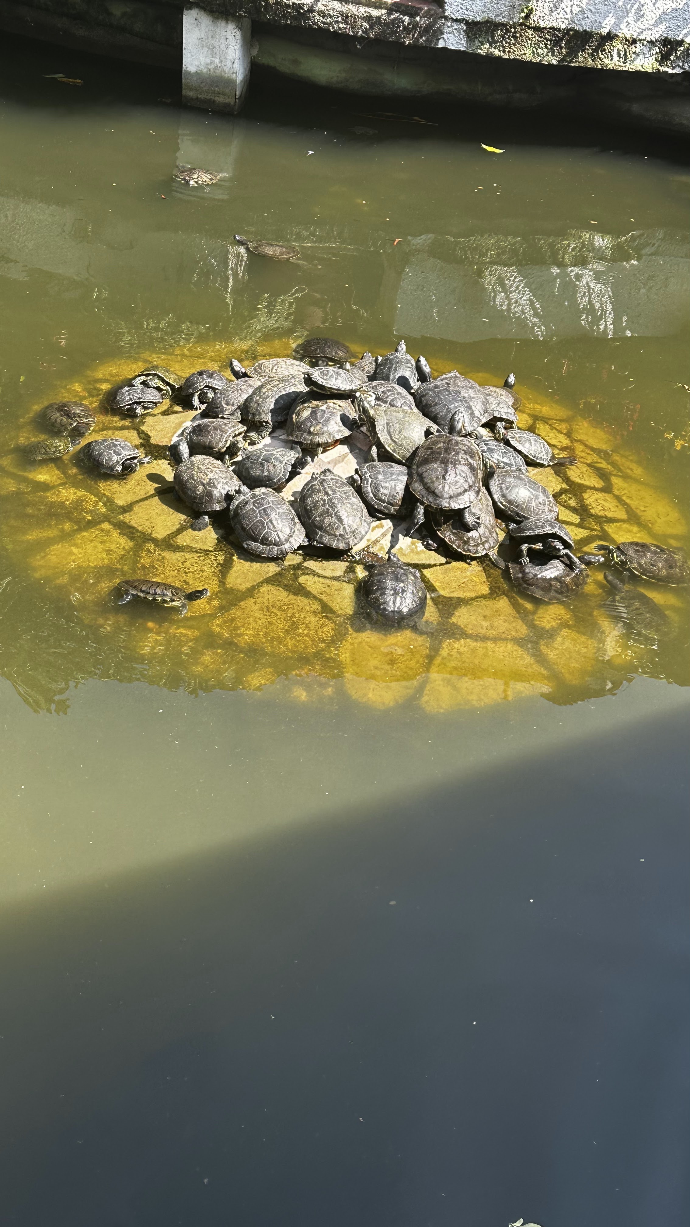 Restaurante Coty Y Pablo image 10