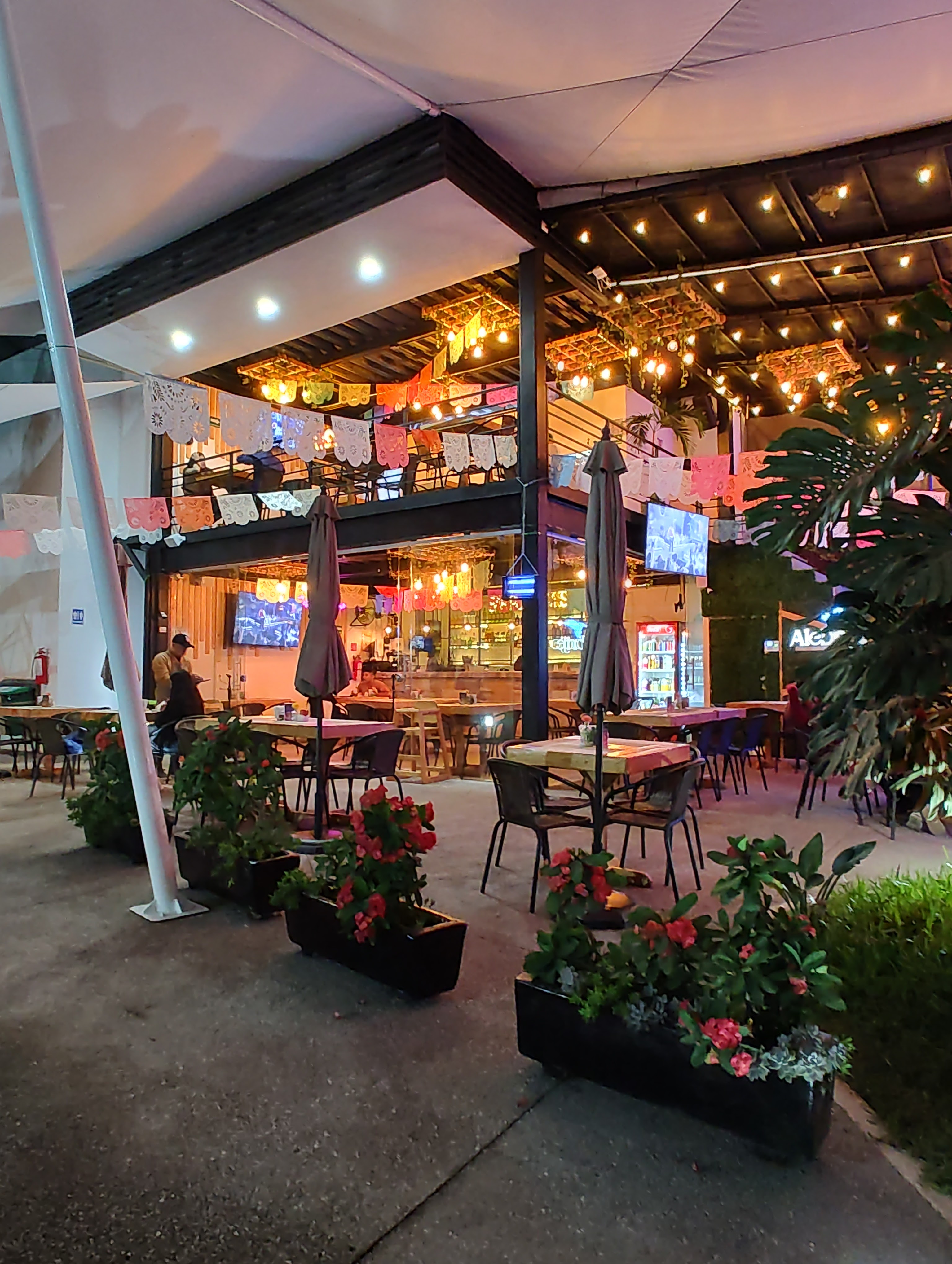 Alebrije restaurante y bar image 1