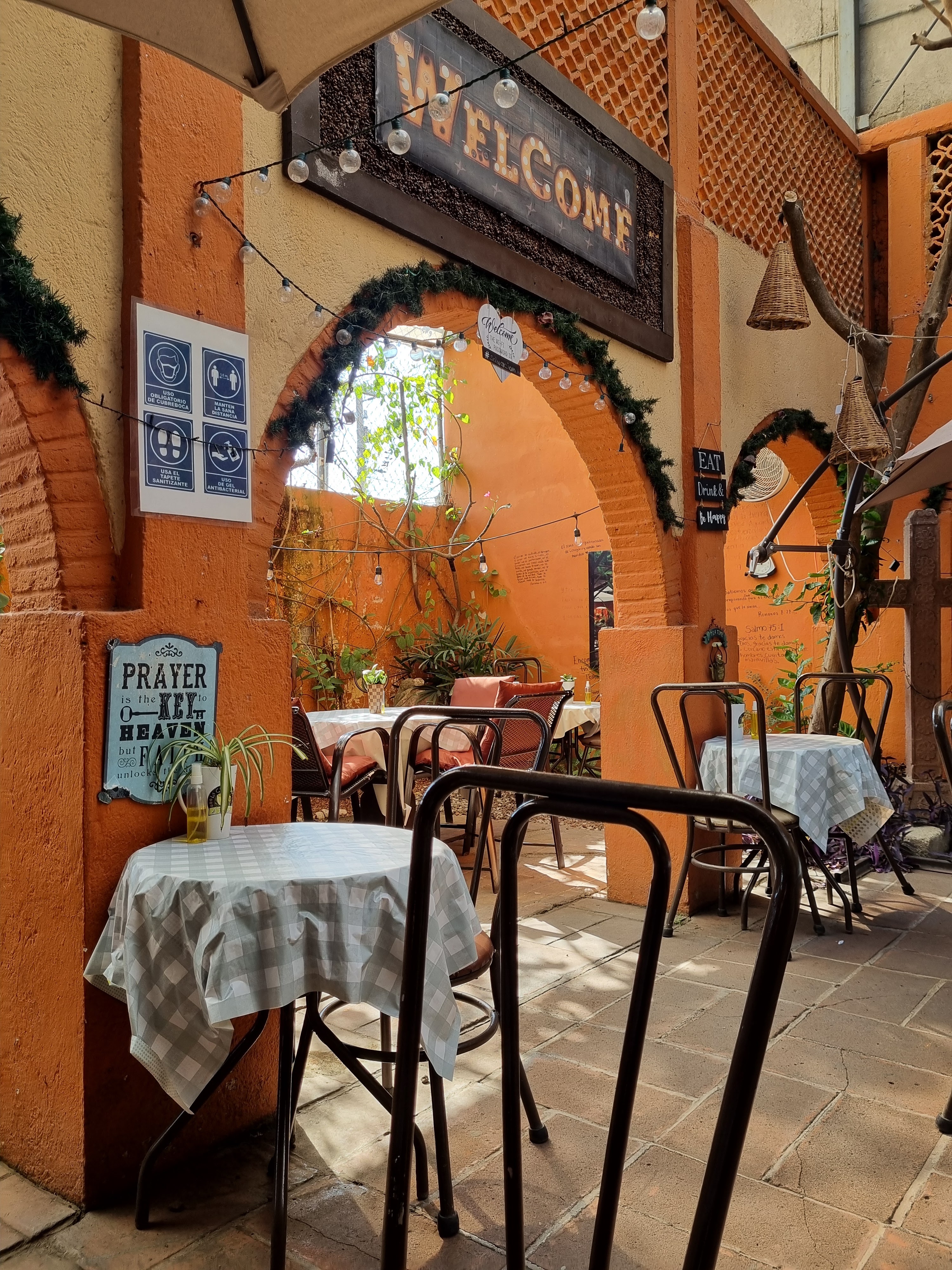 La cosecha de vida image 4