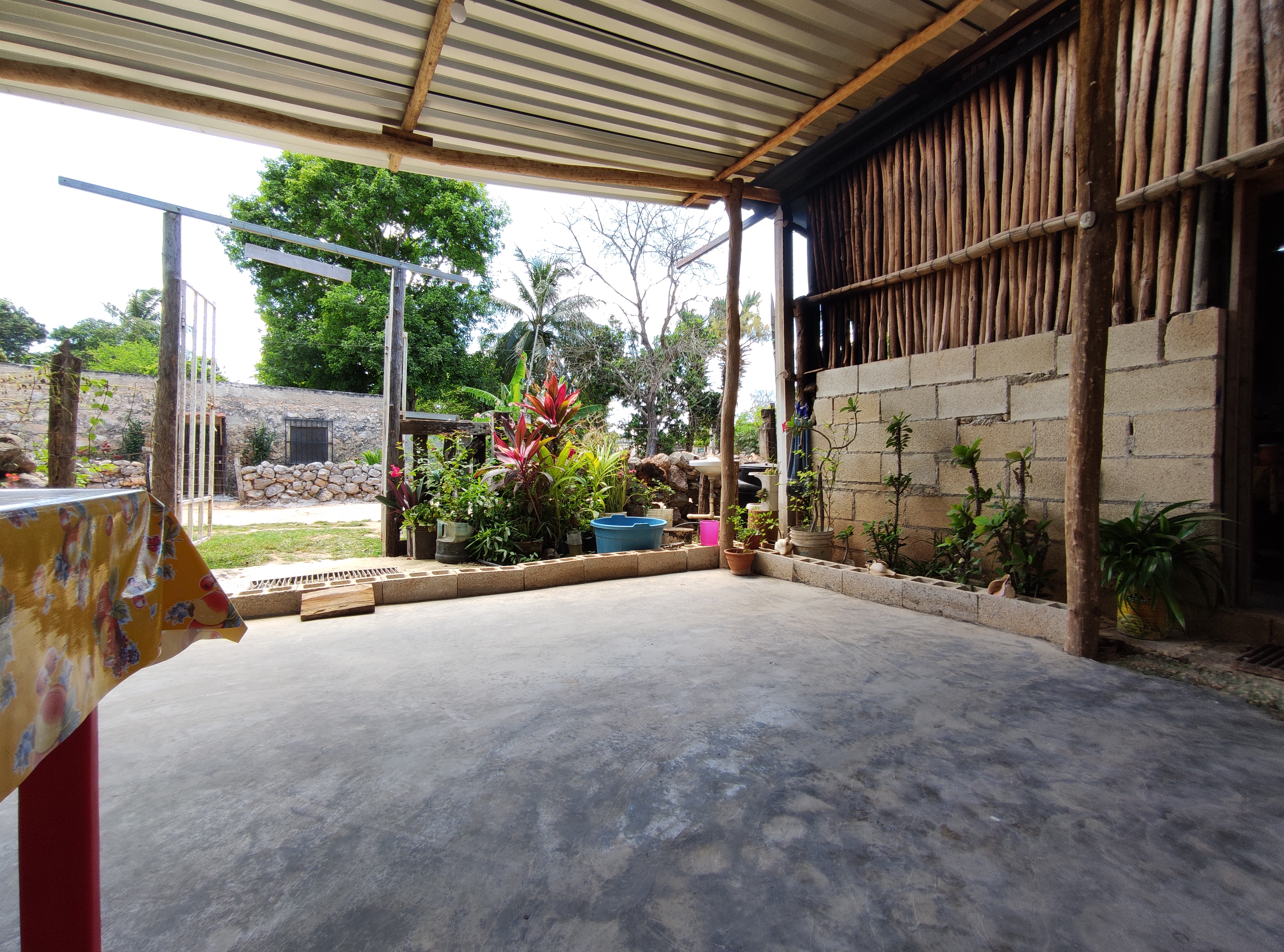 Cocina Economica "El Profe" image 2