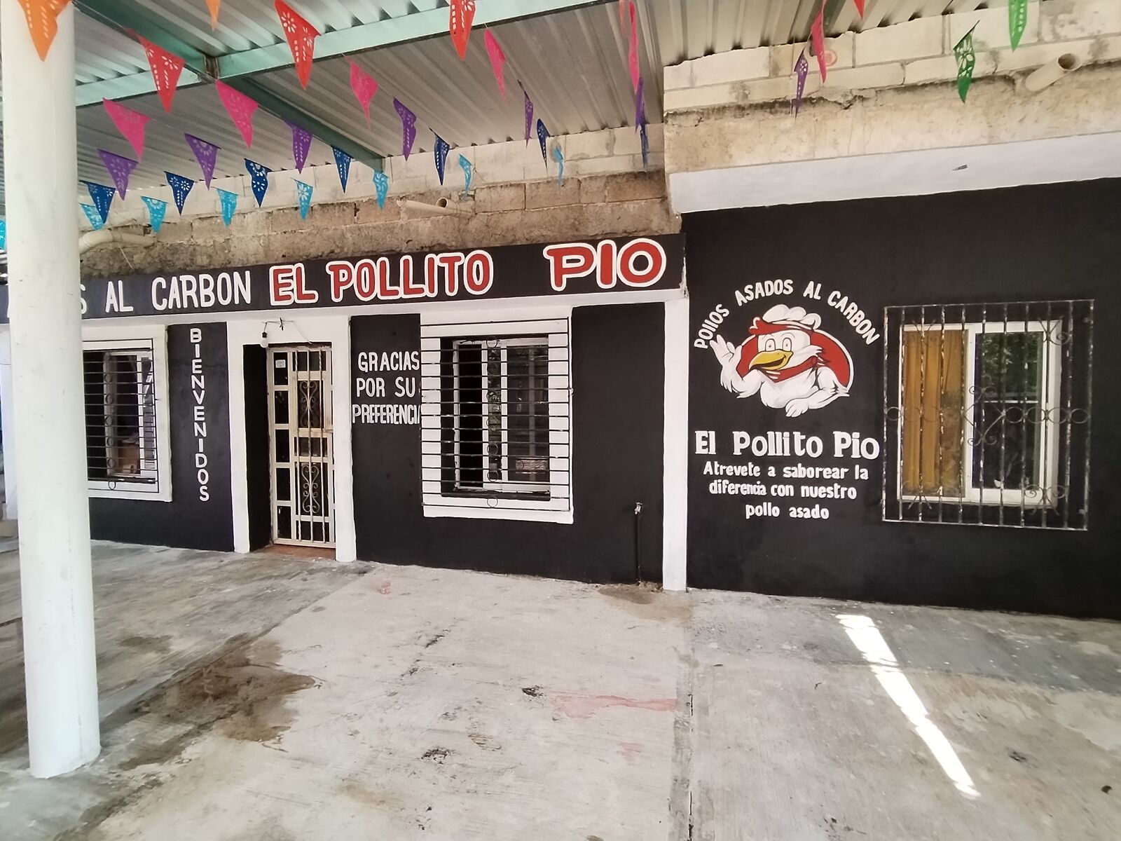 Pollito pio image 4